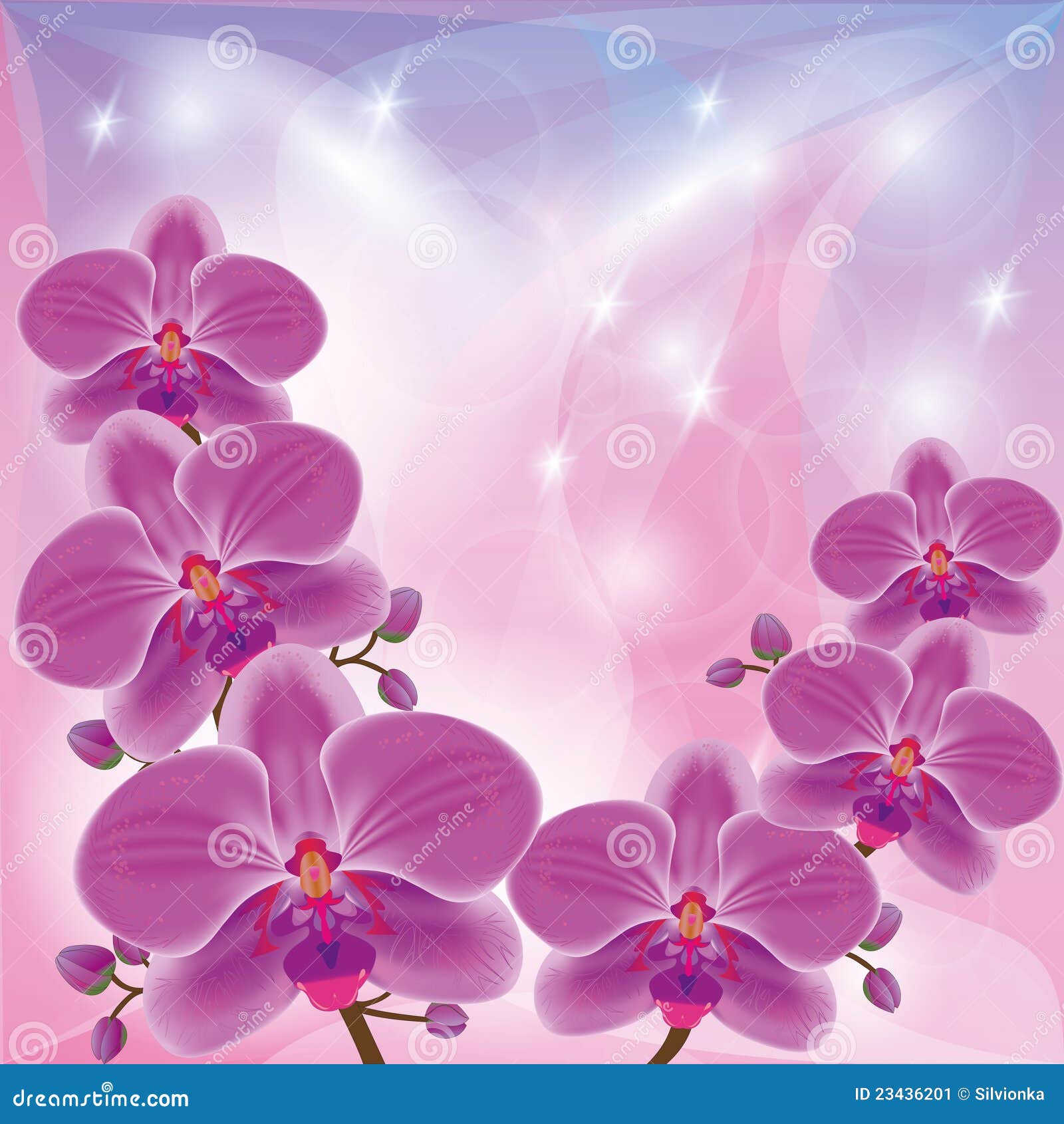 Fondo Floral Con Las Orquídeas Exóticas De Las Flores Ilustración del  Vector - Ilustración de enhorabuena, floral: 23436201