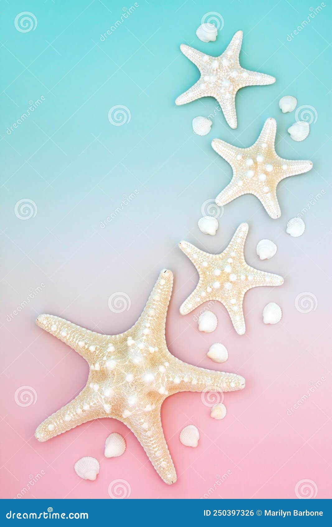 Estrellas de mar  Estrella de mar, Pastel estrellas de mar
