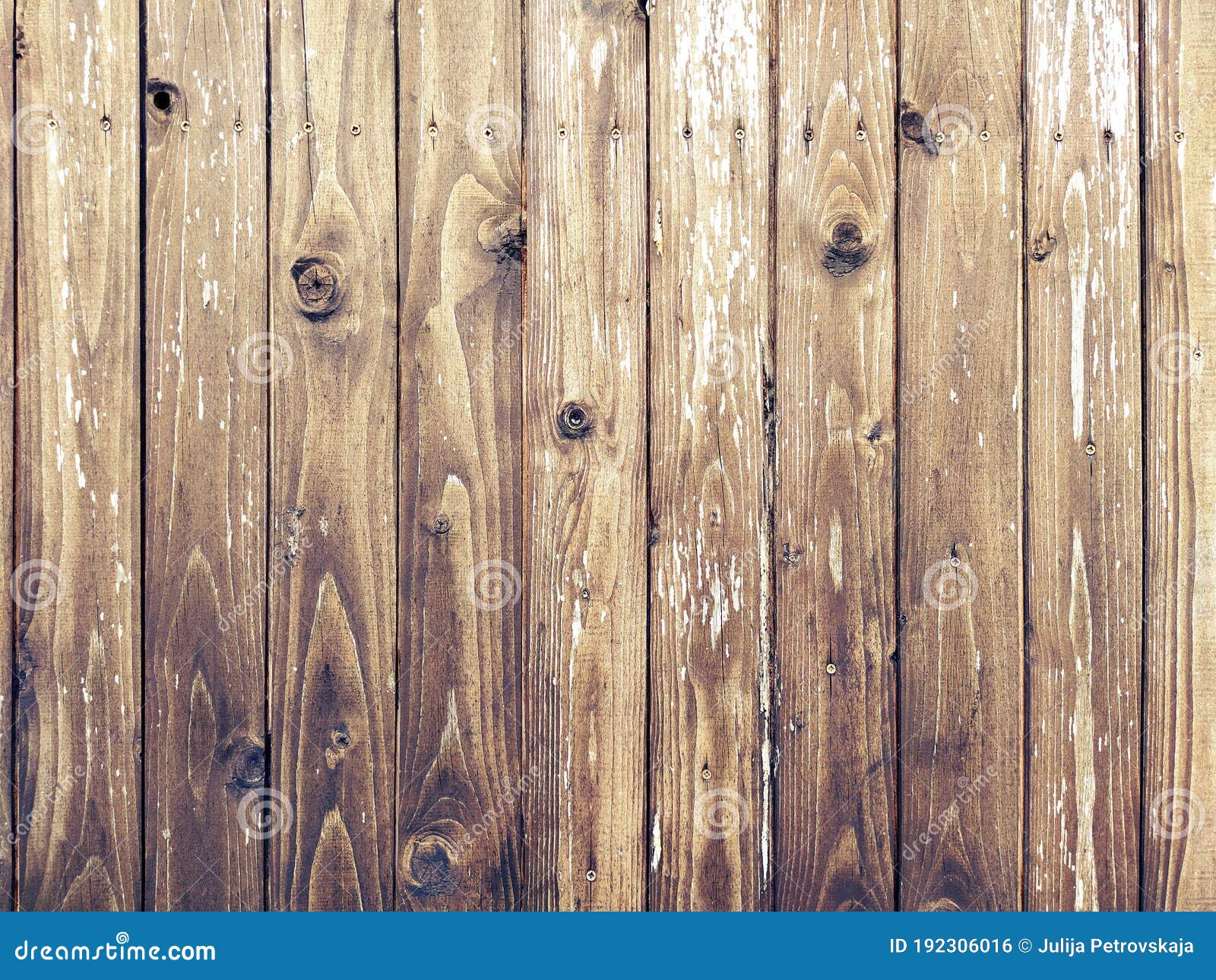 Fondo O Textura De Pared De Madera. Tablones De Madera Con Ramas Foto de  archivo - Imagen de blanco, cerca: 192306016, image size:1600x1290