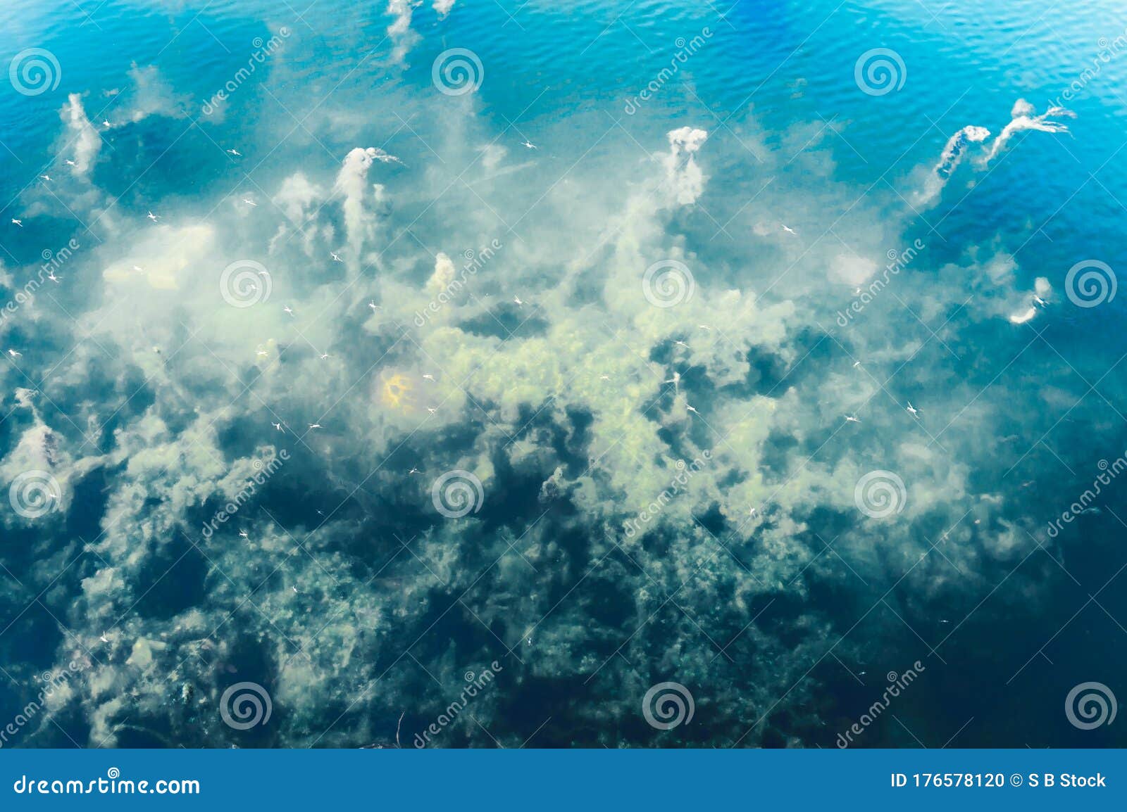 Fondo Oceánico Azul Profundo. Textura Y Color De Patrón Abstracto. Fondo De  Vida Marina De Organismos Acuáticos. Fondos De Pantall Foto de archivo -  Imagen de profundamente, ambiental: 176578120