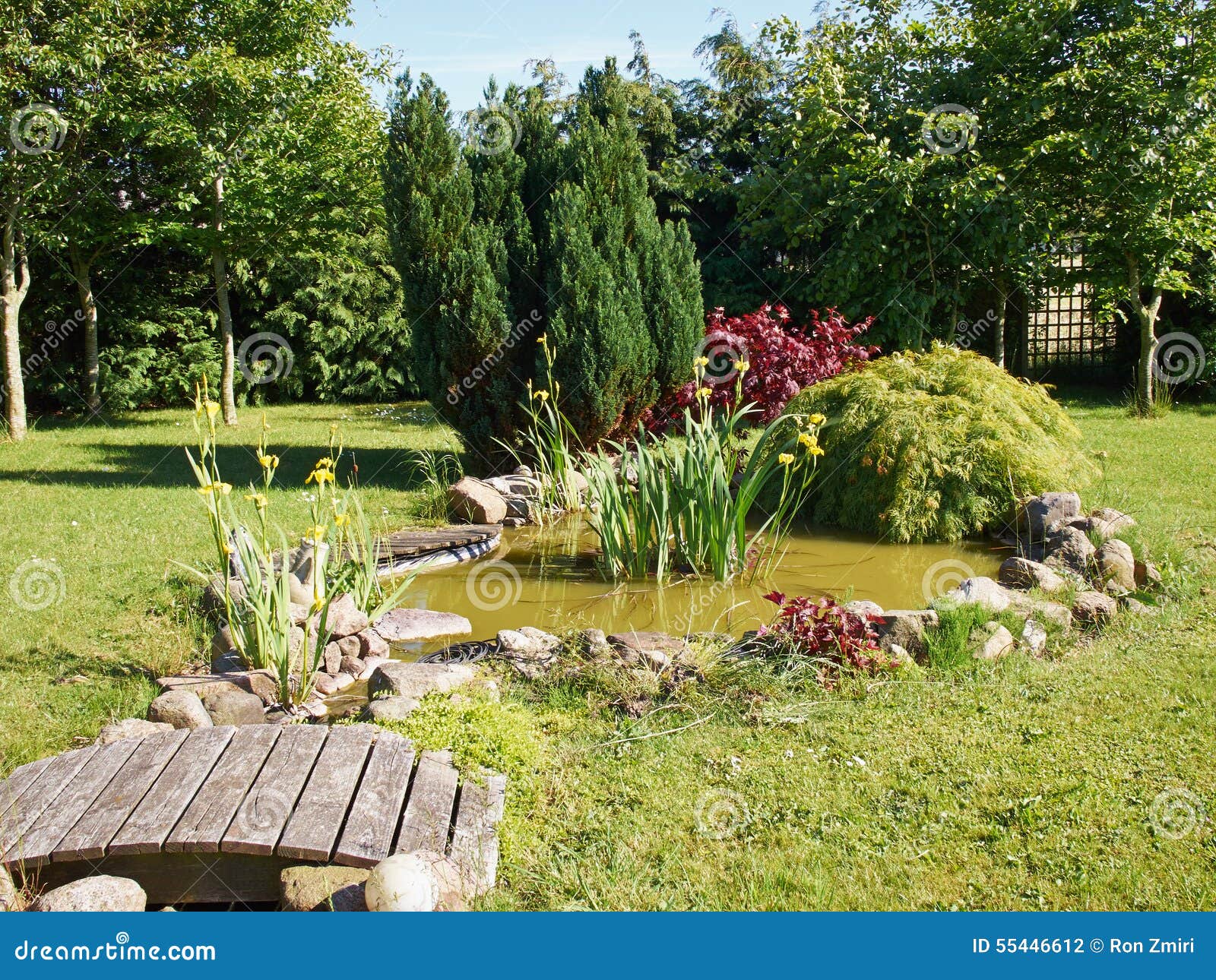 Fondo Que Cultiva Un Huerto Del Estanque De Peces Clásico Hermoso Del Jardín  Foto de archivo - Imagen de fuente, cubo: 72764776