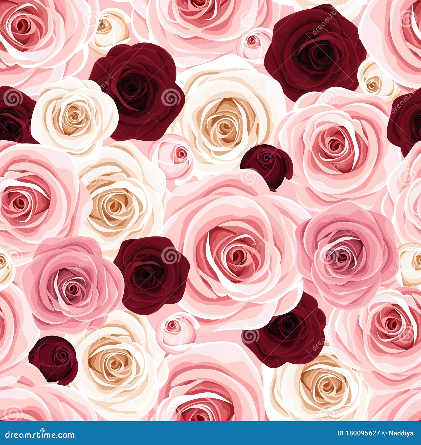 rosas rojas y pétalos de rosa sobre fondo blanco 6210369 Vector en