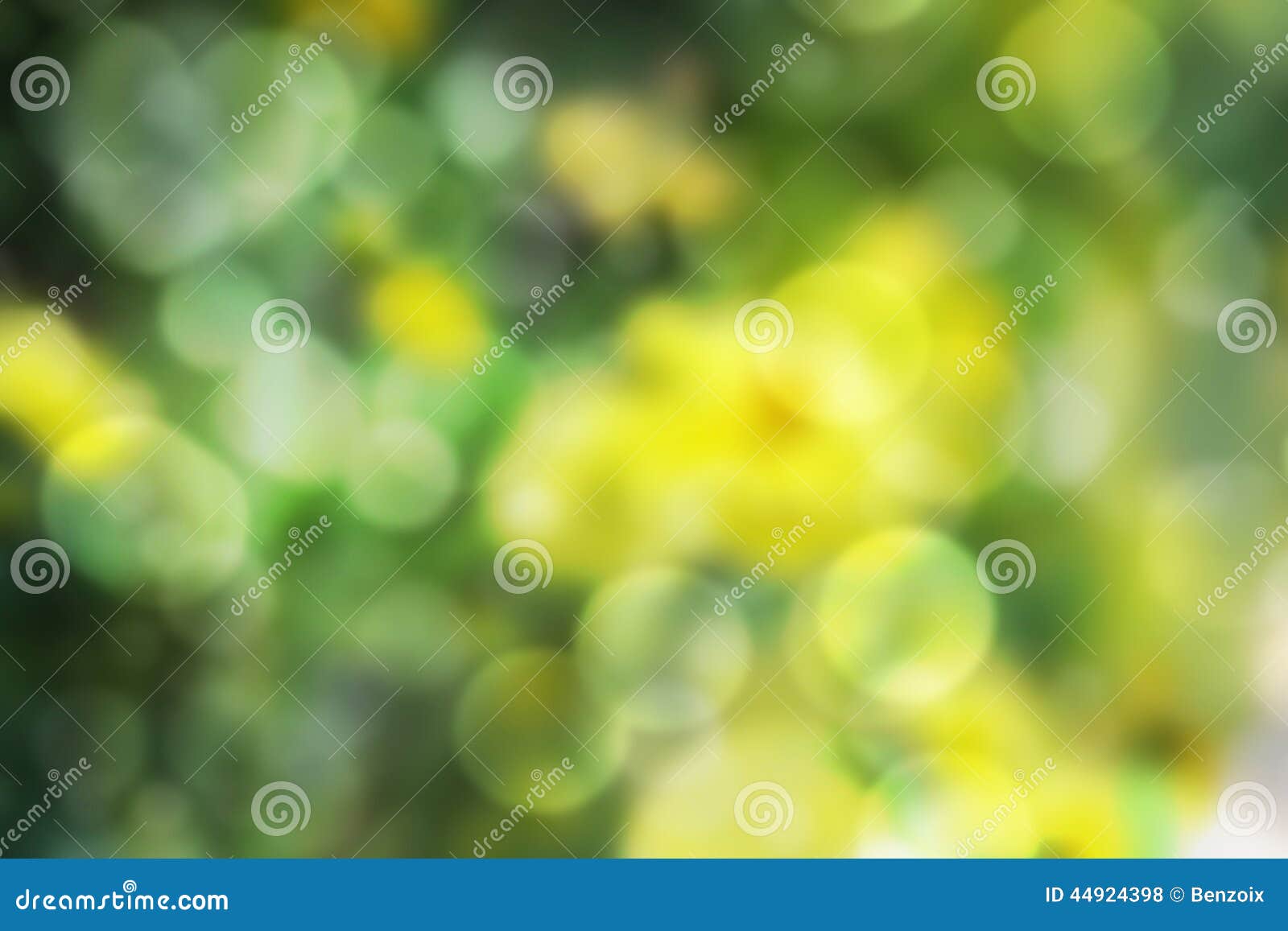 Fondo vago del bokeh del fiore del tagete. I precedenti vaghi di un genere di fiore, tagete