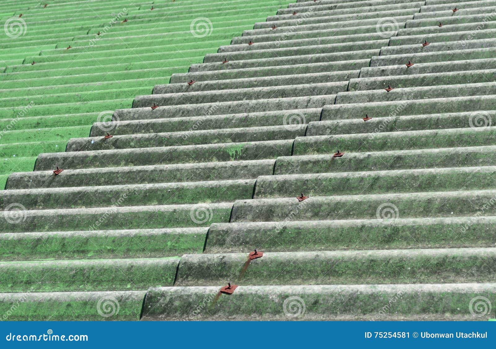 Fondo Verde De Tejado De Teja Del Grunge Imagen de archivo - Imagen de  modelo, cubierta: 75254581, image size:1600x1126