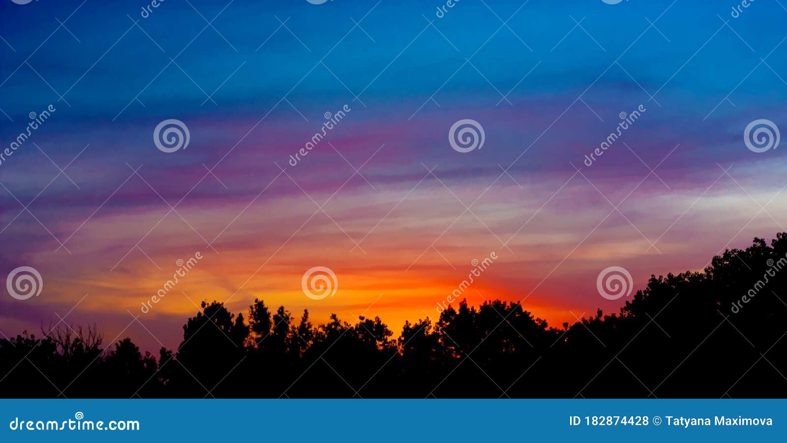 fontastic colors of the summer sky over the forest