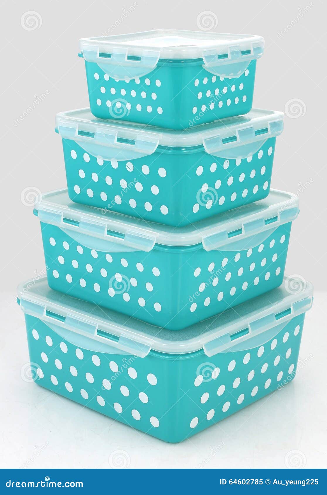 Food boxes storage stock image. Image of doggie, leftover 64602785