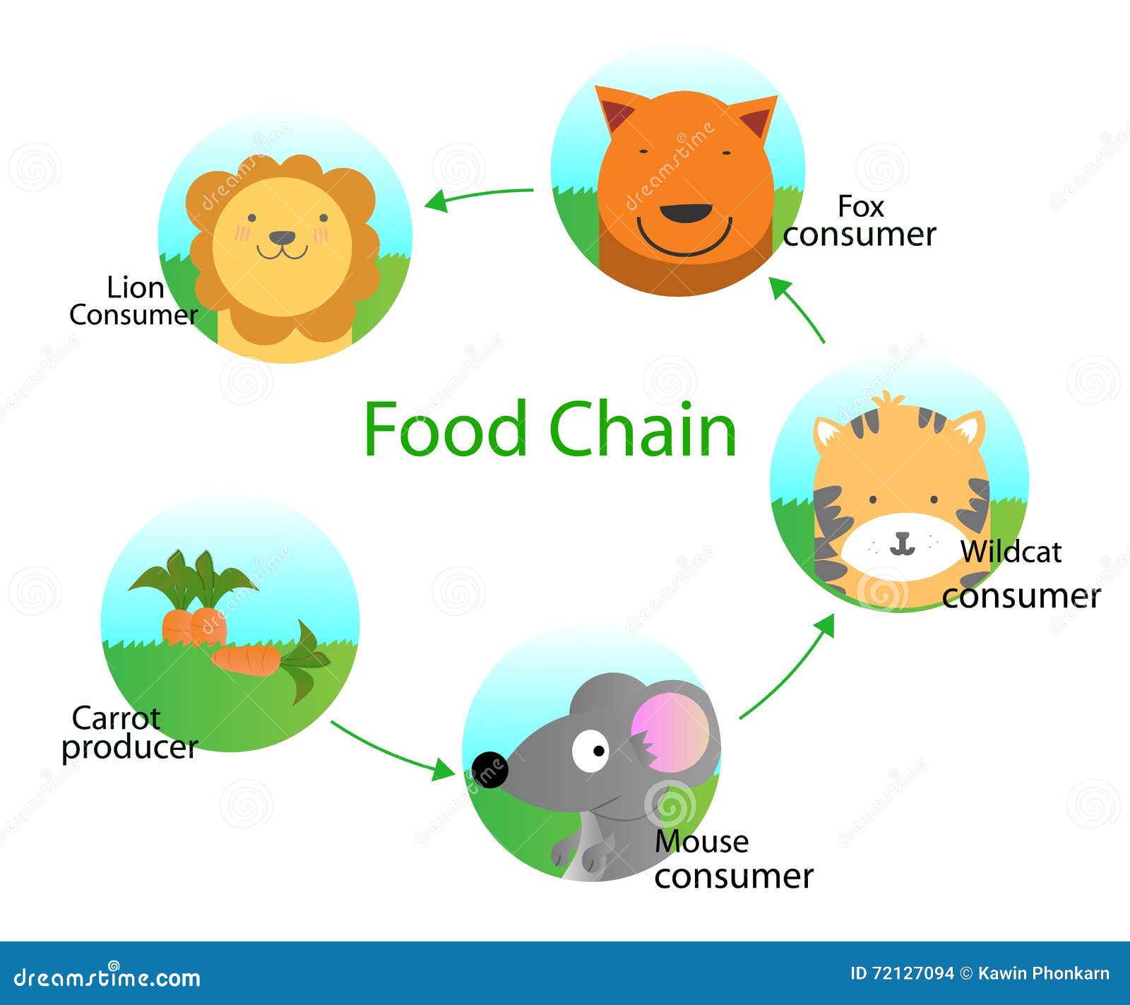 Food chain stock vector. Illustration of illustrator - 72127094