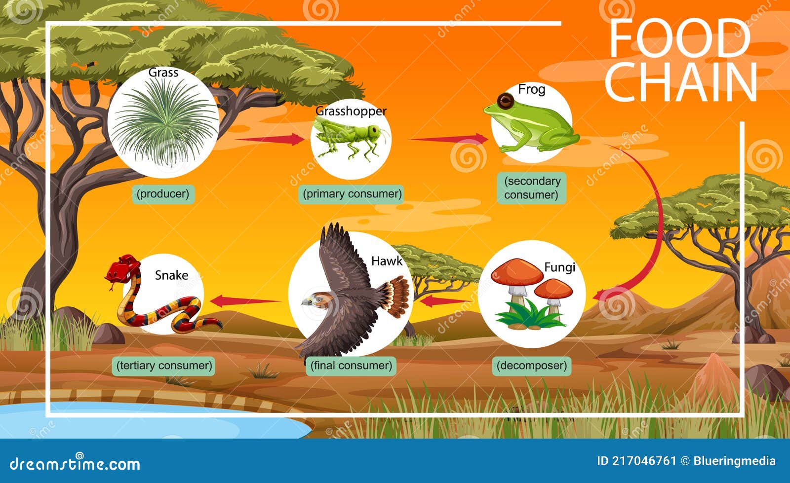 land food chains