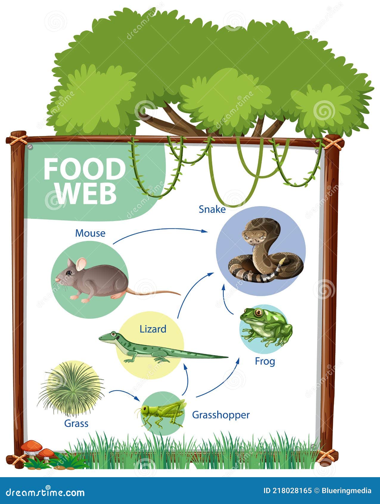 Chain Diagram In Blue Background Stock Image Biology Diagrams