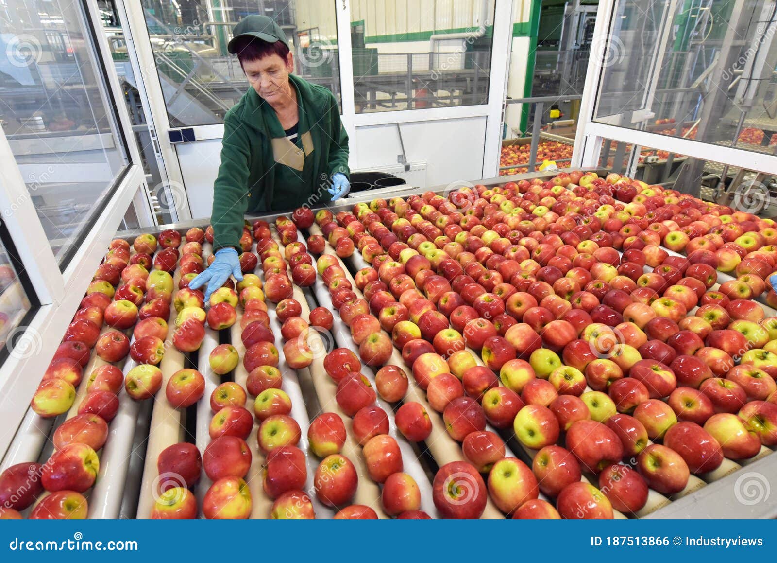 Food Factory Assembly Line with Apples and Workers Stock Photo Image of delivery, agriculture
