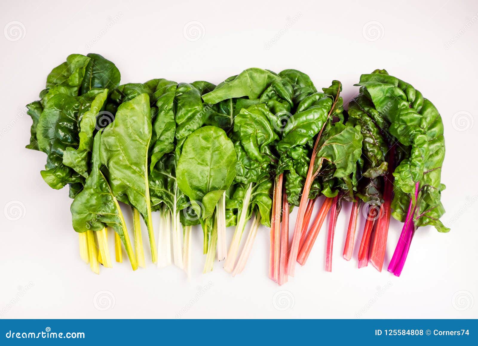 food gradient of organic rainbow chard: spray-free leafy greens