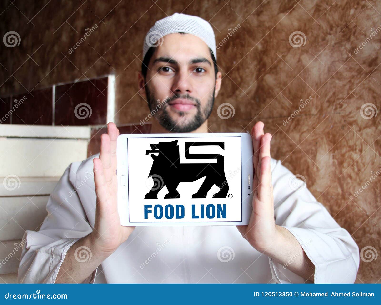 Food Lion Grocery Store Company Logo Editorial Image Image of logo