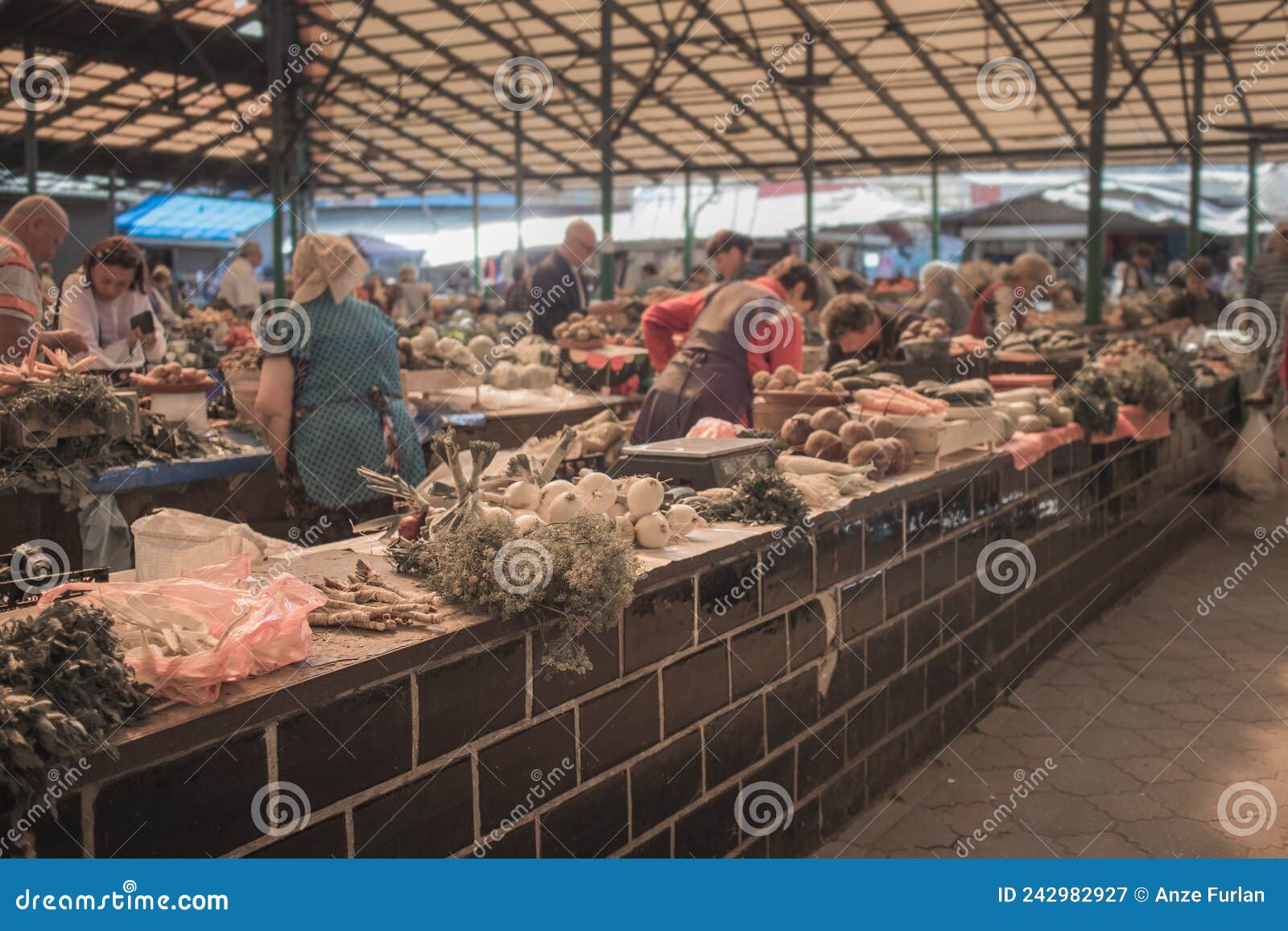 Food Market in Lviv, Ukraine, Open Space Filled with Vegetables