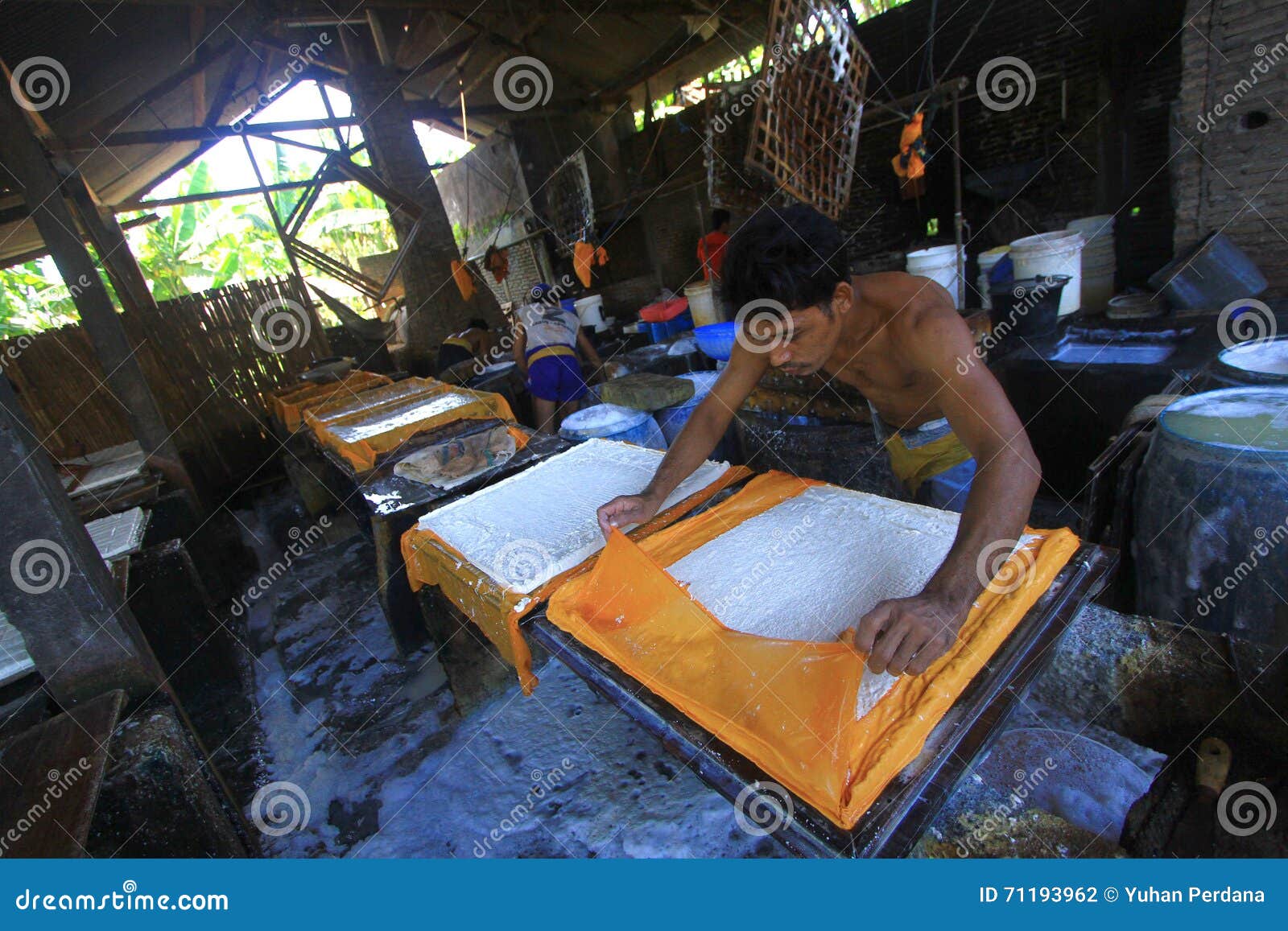 Food Processing Industry of Soy Ingredients Editorial Photography