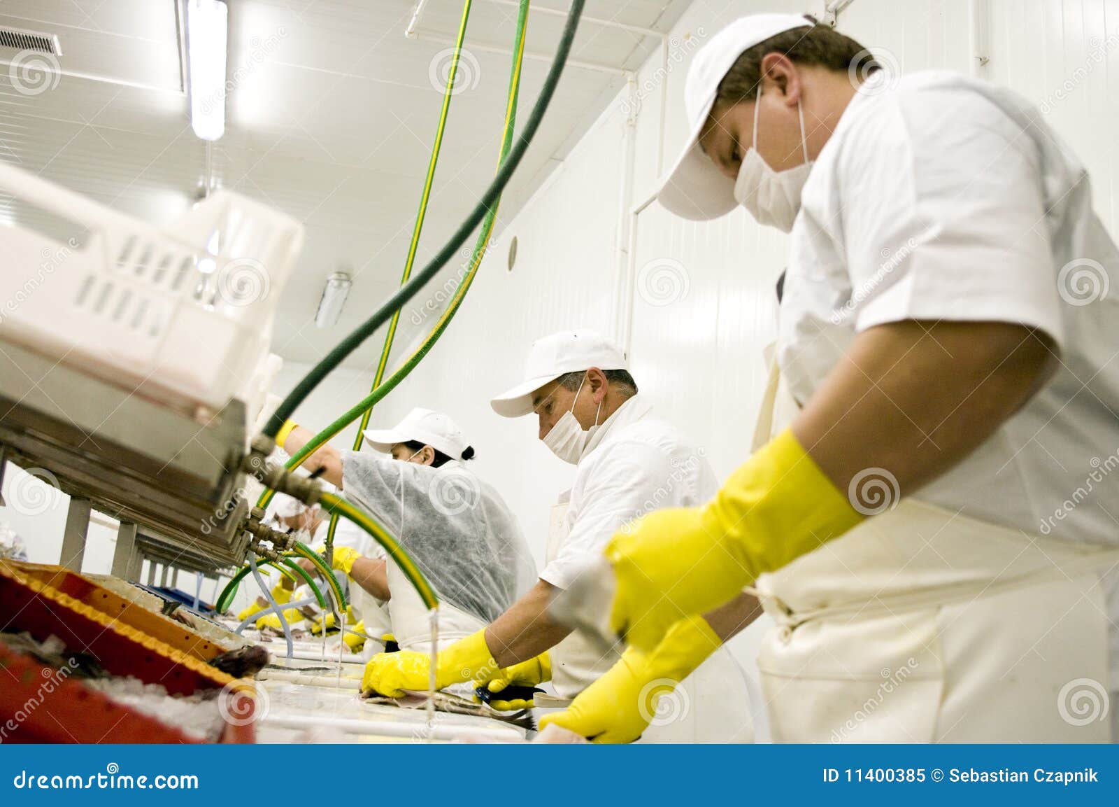 food processing workers