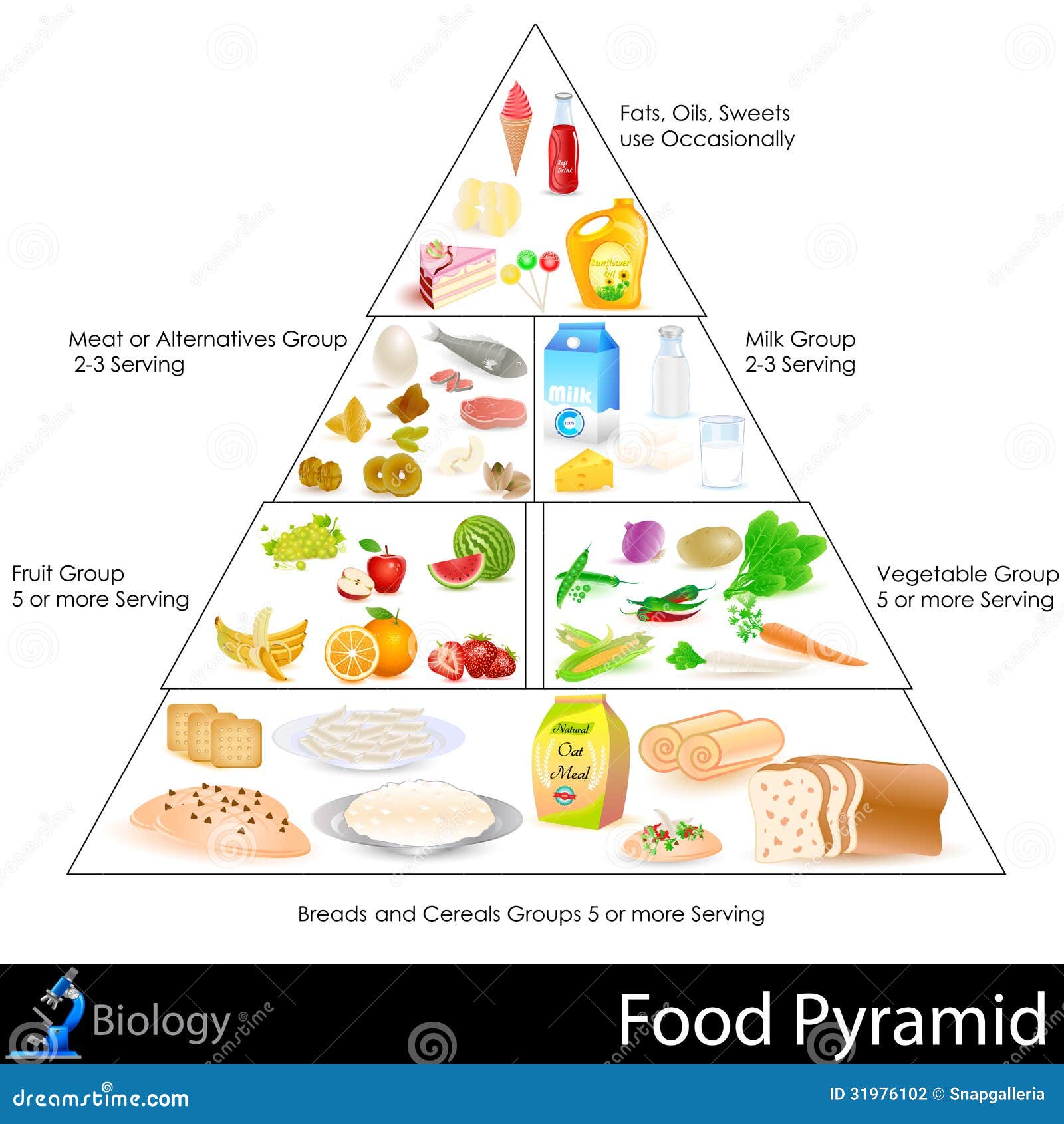 Food Pyramid Stock Vector. Illustration Of Food, Balance - 31976102