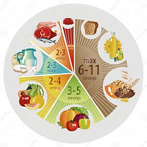 Food Pyramid Of Pie Chart Stock Vector Illustration Of Bakery 122650048
