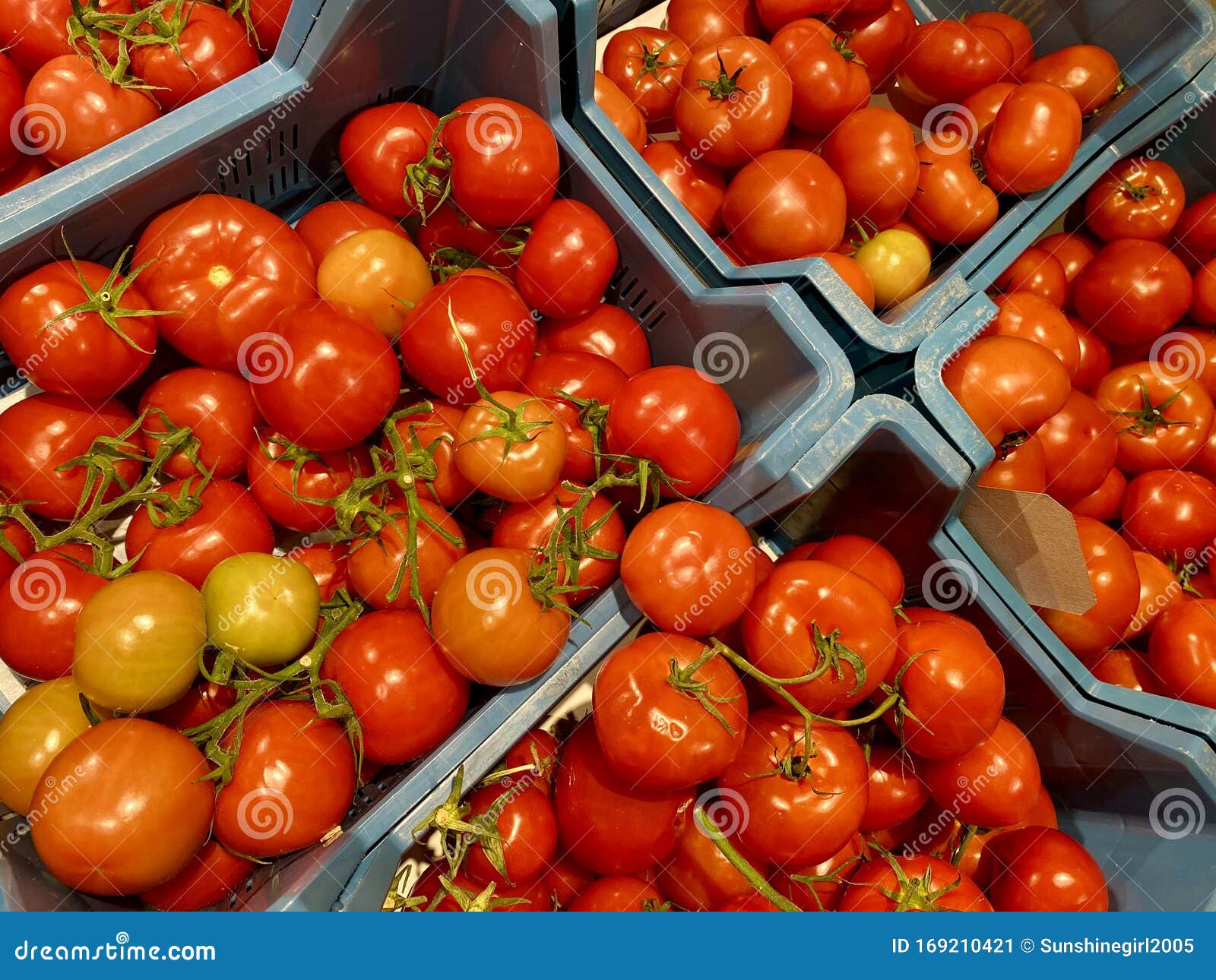Fresh Tomatoes for Sale in the Supermarket Stock Image - Image of fresh ...