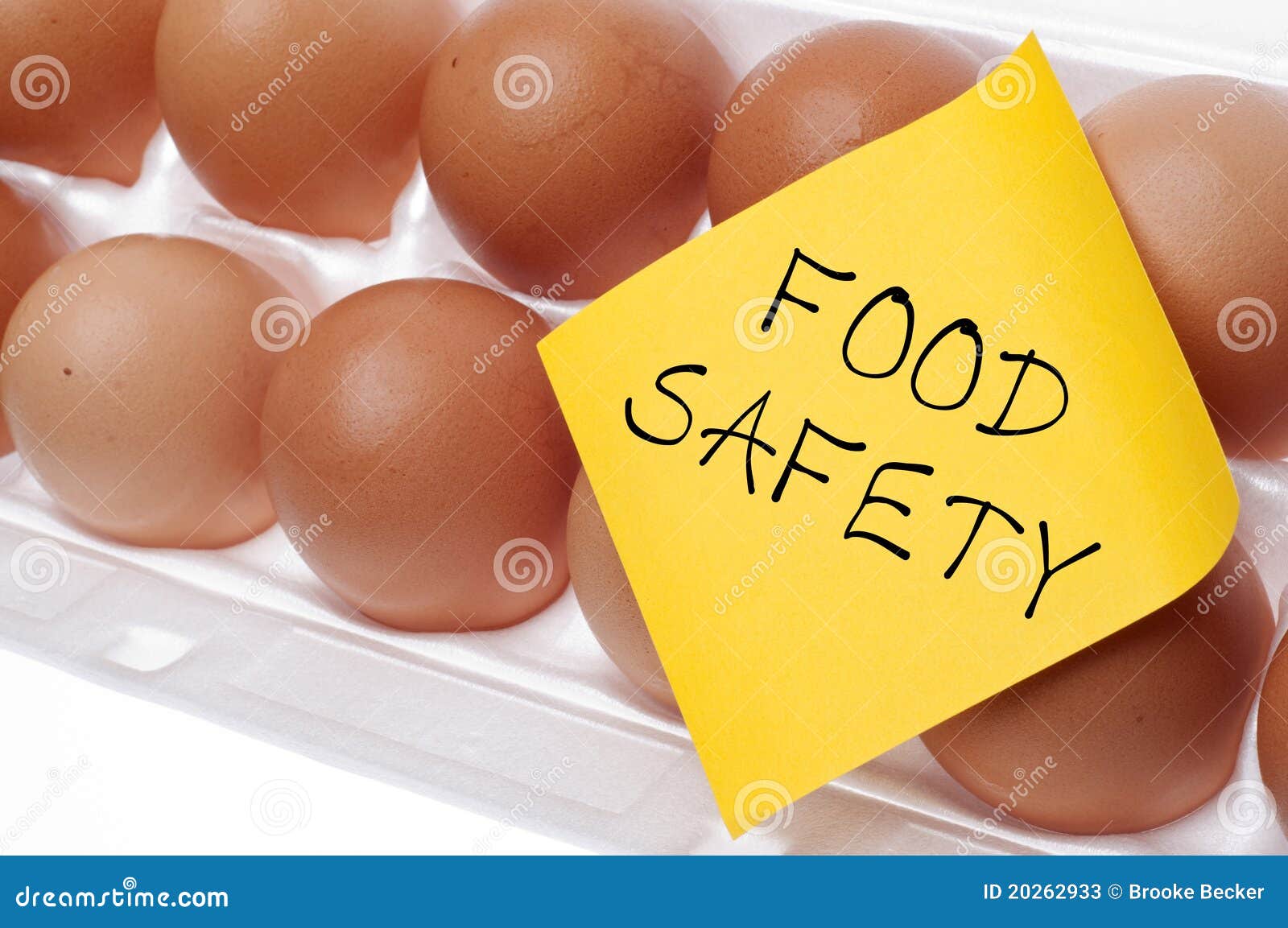 food safety concept