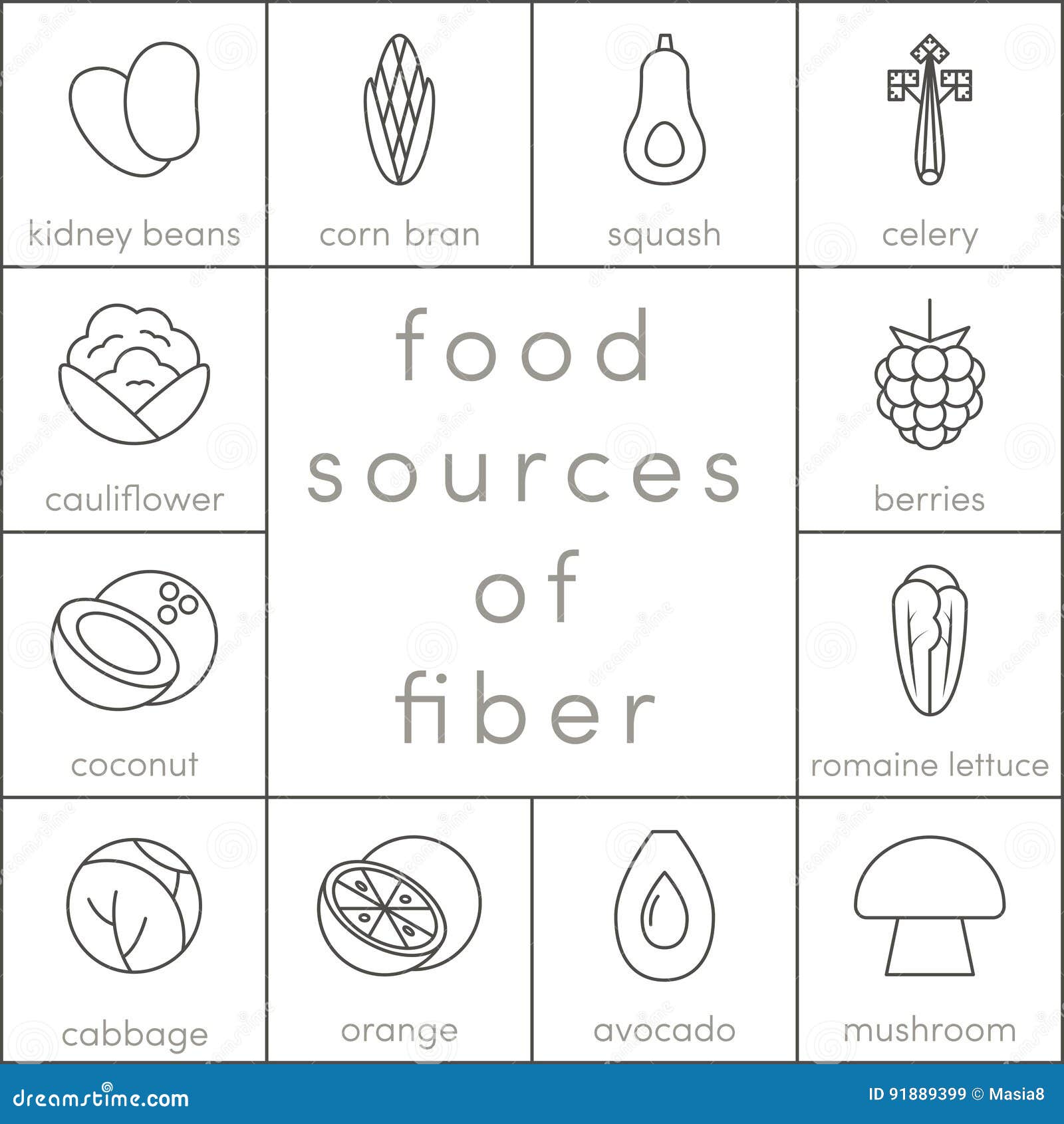 Food Sources Of Fiber Stock Illustration Illustration Of Cellulose 91889399,Ornamental Grass Garden