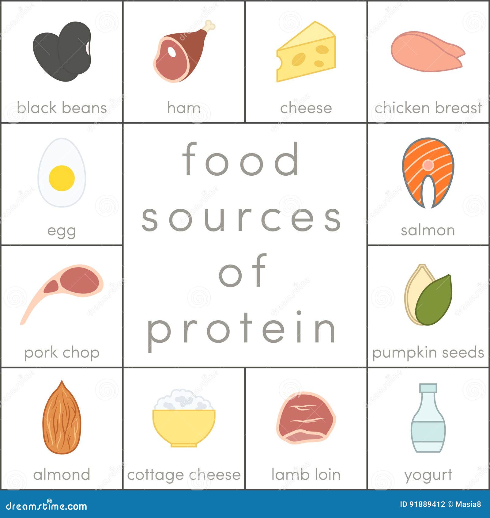 Food sources of protein stock illustration. Illustration of flat - 91889412