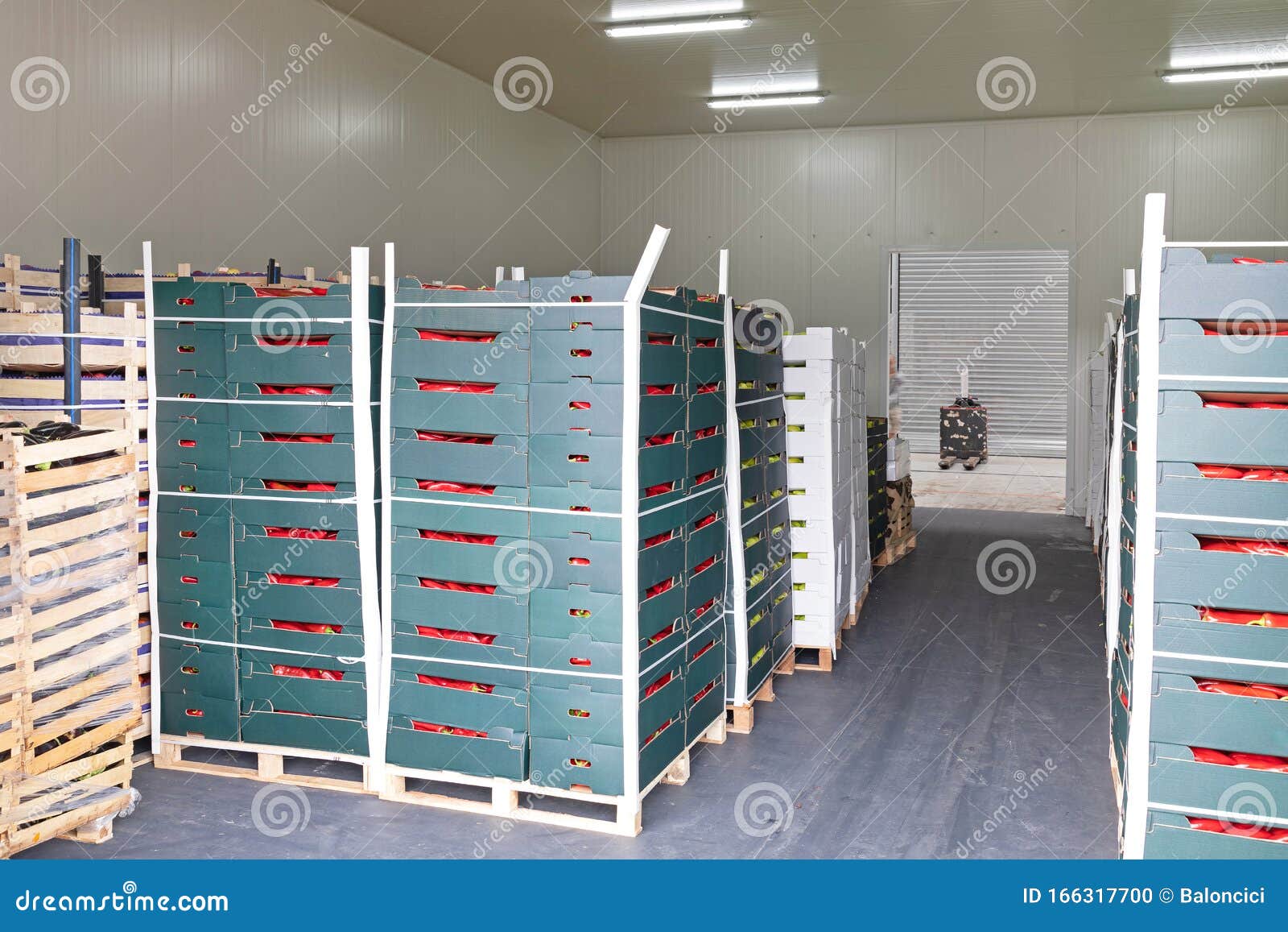 Food Storage stock photo. Image of fruit, vegetable 166317700