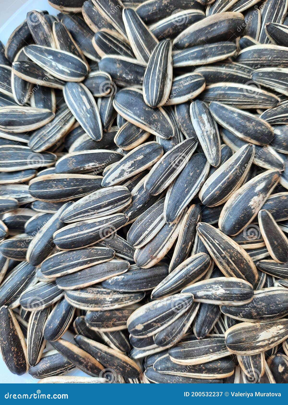 Food, Sunflower Seeds, Black Seeds Stock Image Image of cuisine