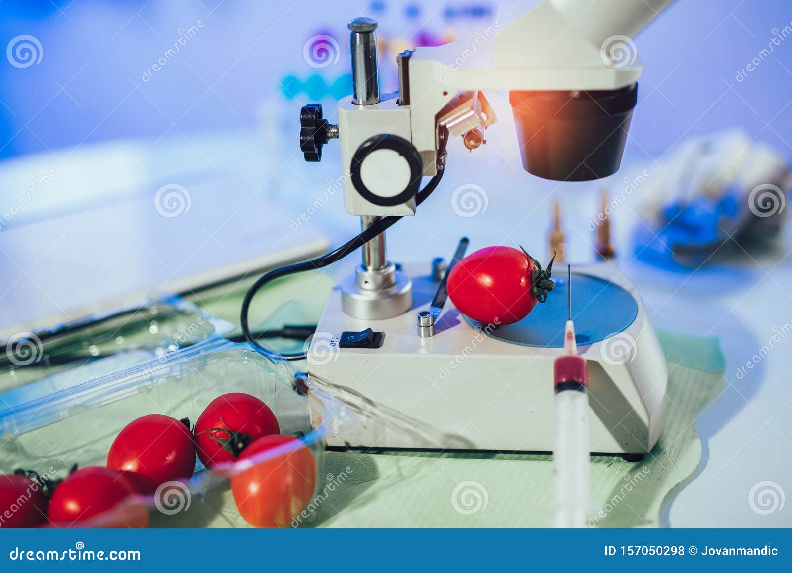 Food Testing in the Laboratory. GMO Food Stock Photo Image of