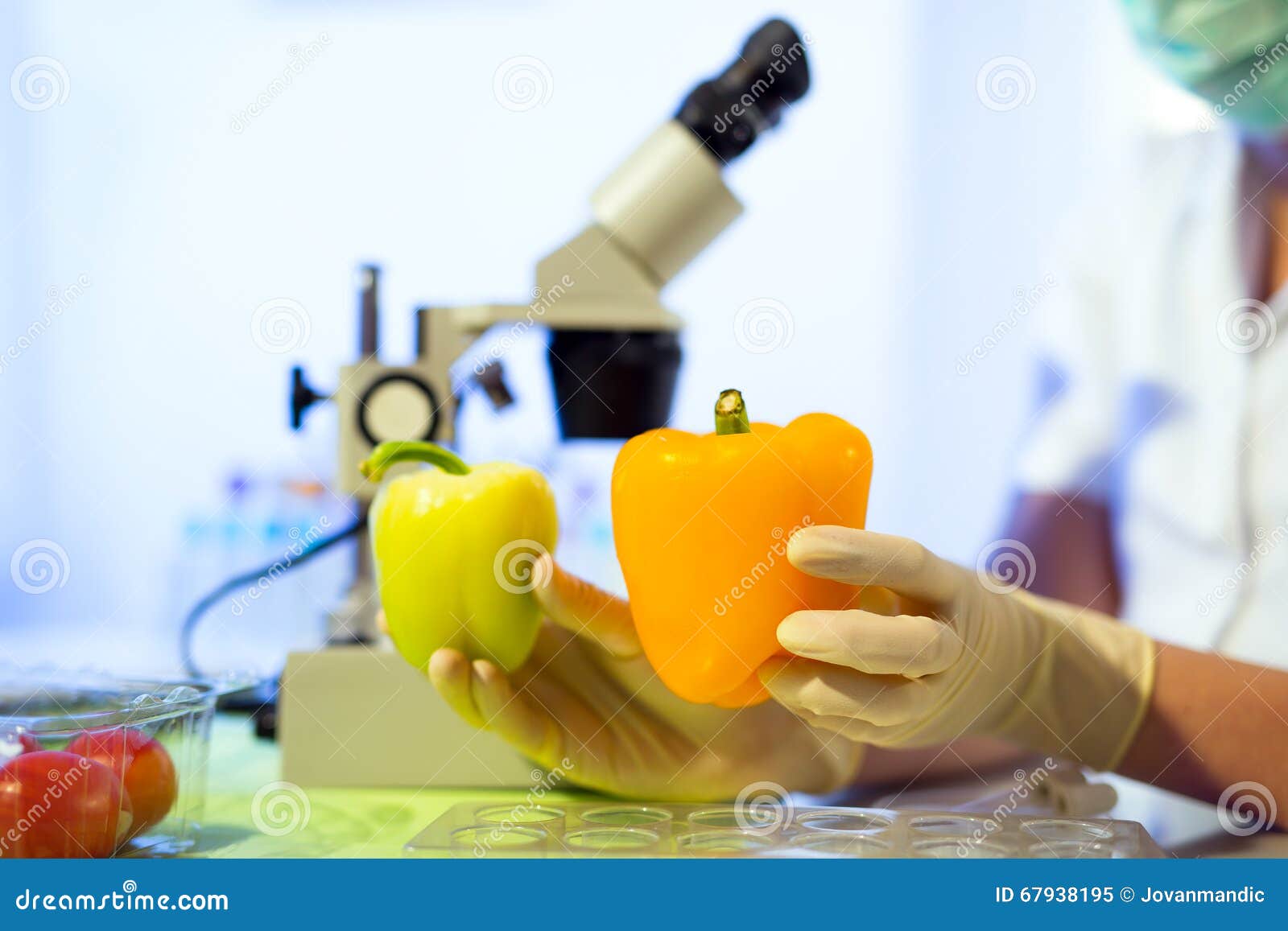 Food Testing in the Laboratory. GMO Food Stock Image Image of