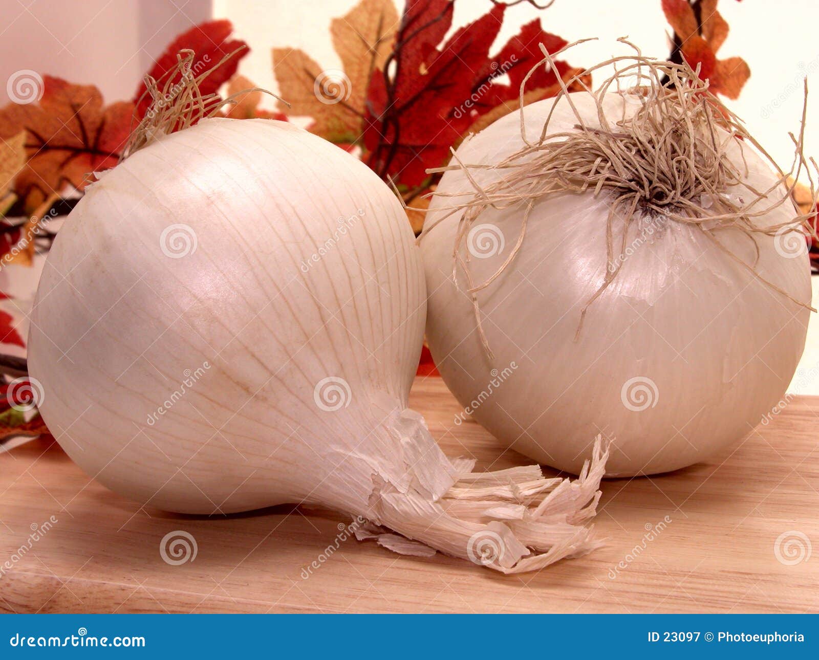 food: white onions