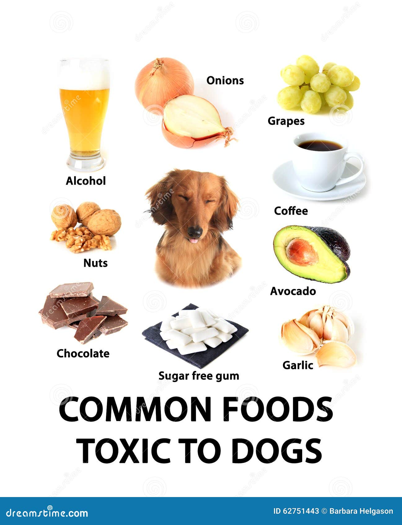 are by products bad for dogs