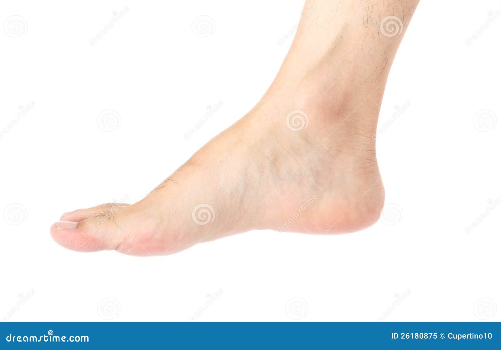 foot