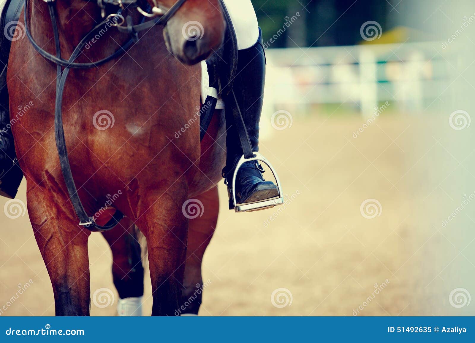 In The Stirrup Is The Foot Of A Rider In A Black Boot, Sitting On A Bay