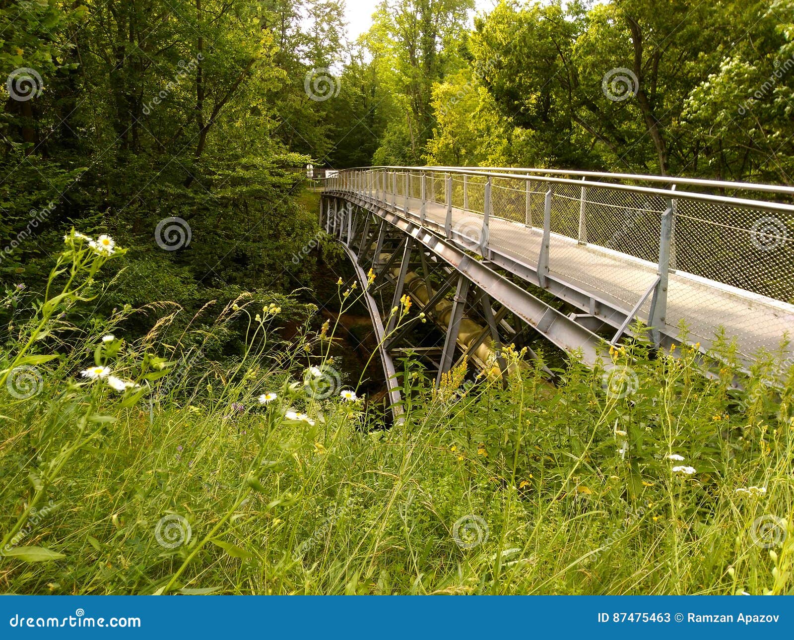 Foot bridge over the river stock image. Image of bridge 87475463