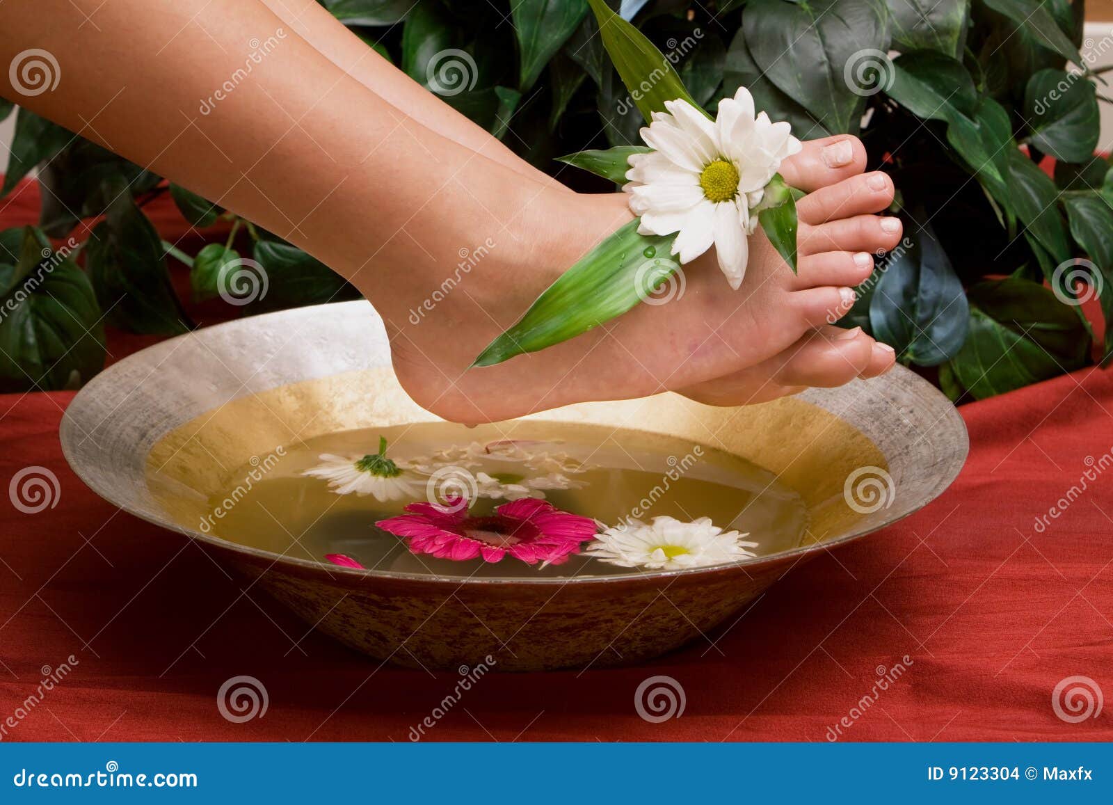 Foot care and pedicure stock photo. Image of pedicure 9123304