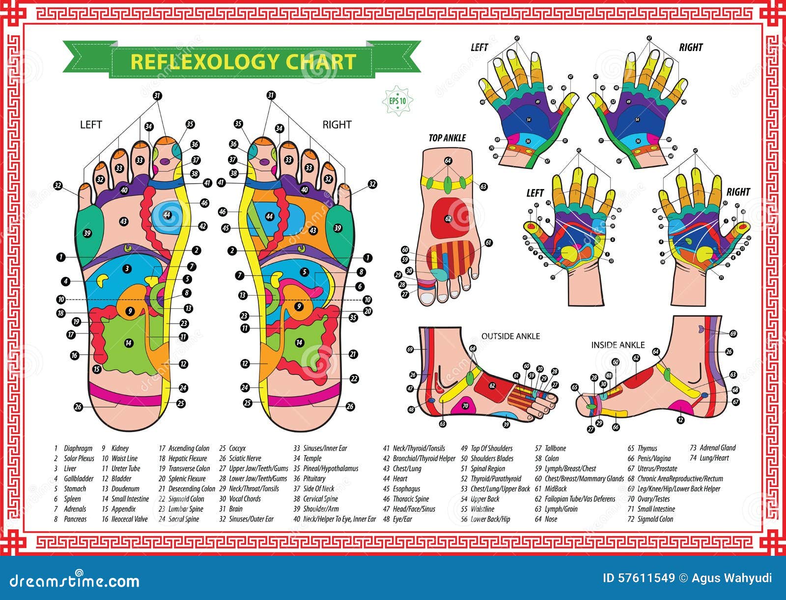 Reflexology Hand Chart Neck