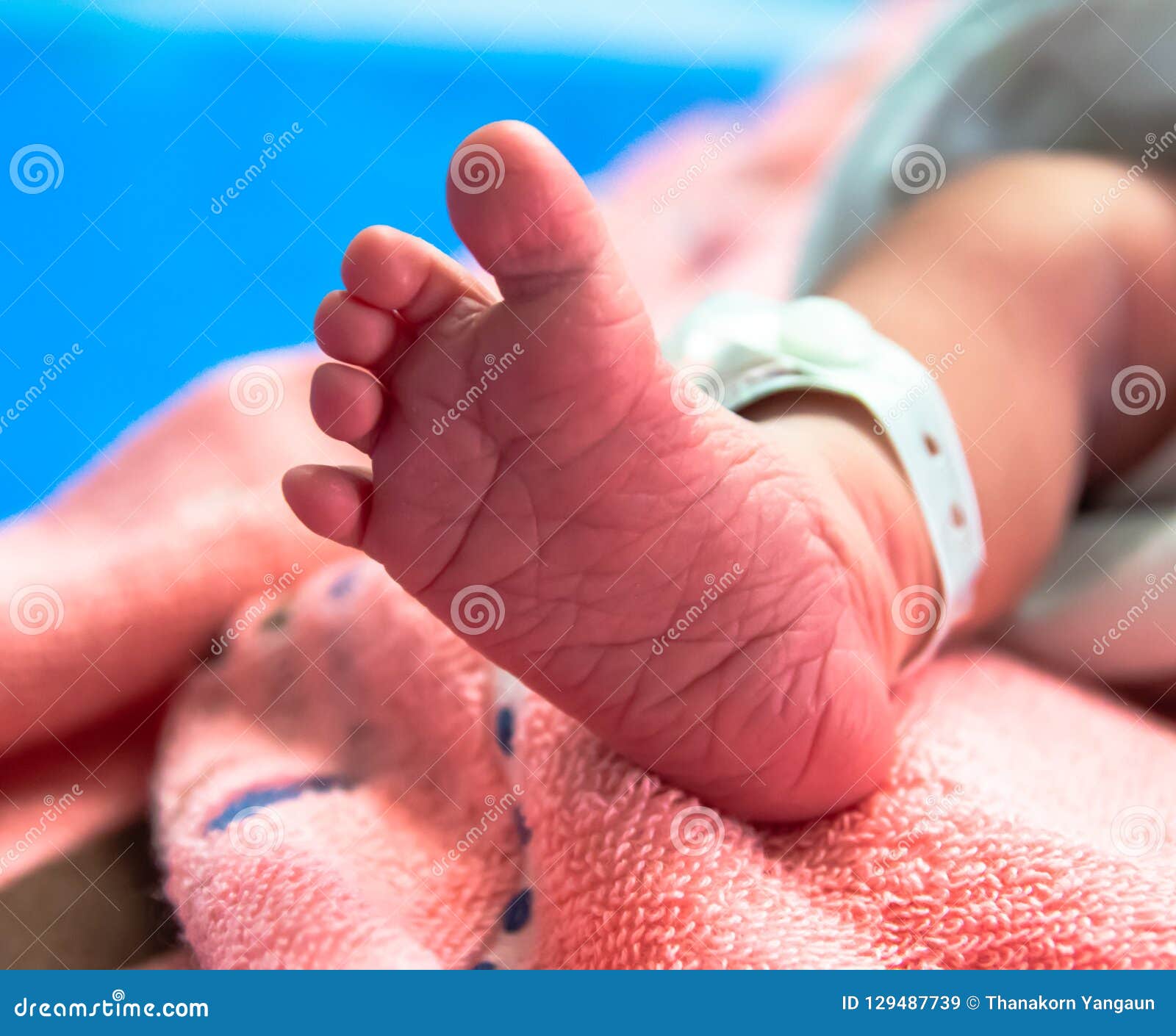 foot of newborn baby in postpartum care unit in hospital when she sleep with her mother, so cute.