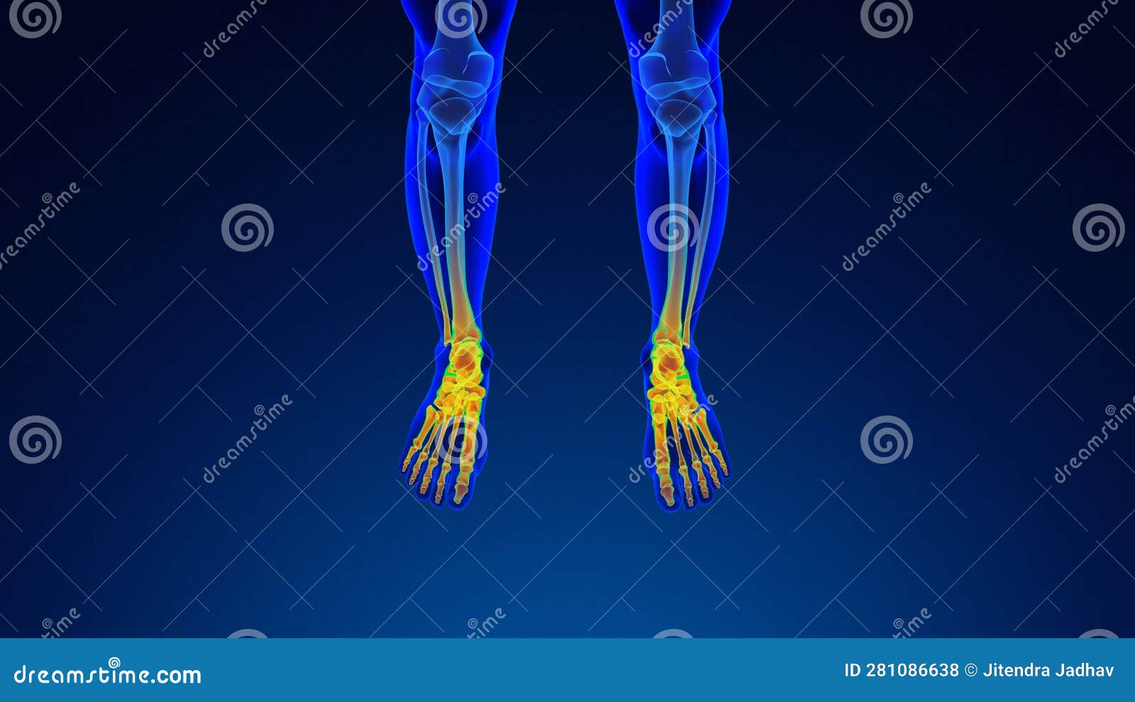 human foot pain medical background