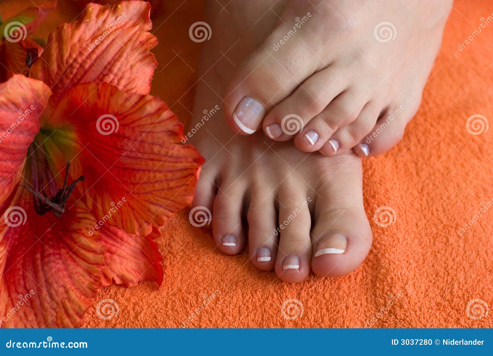 Foot with pedicure stock photo. Image of adult, femininity 3037280