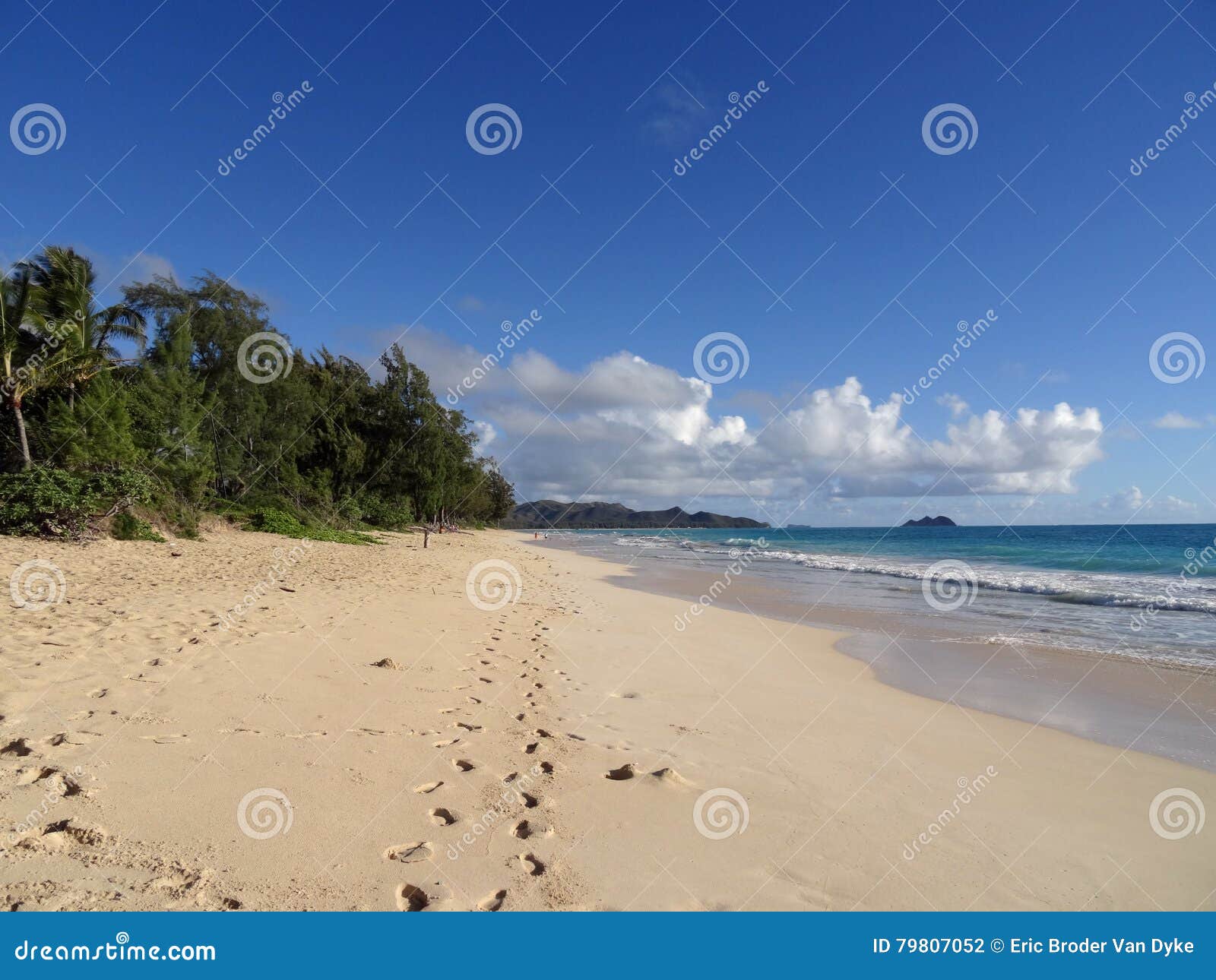 foot prints path in the sand on waimanalo beach