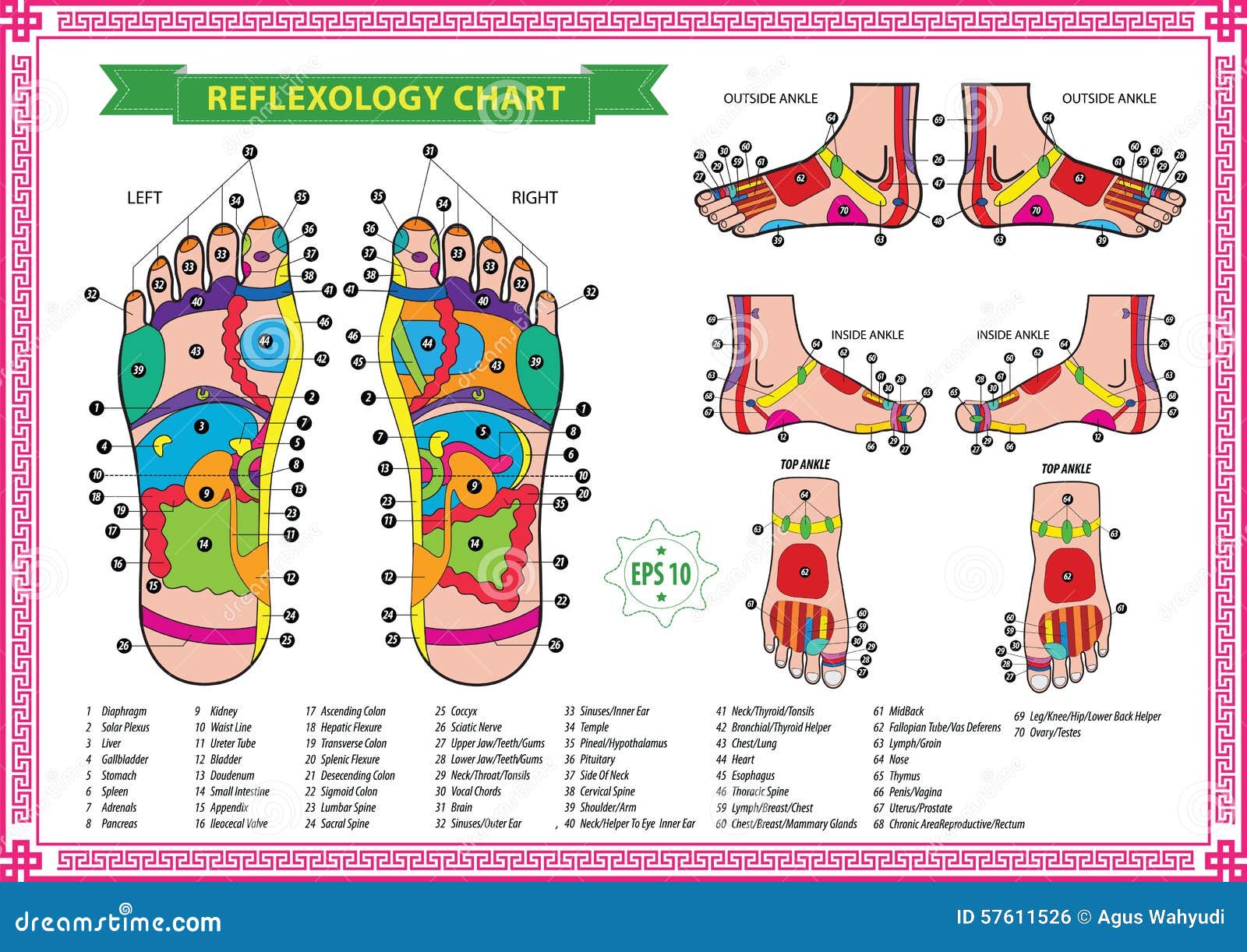 Reflexology Foot Chart Uterus