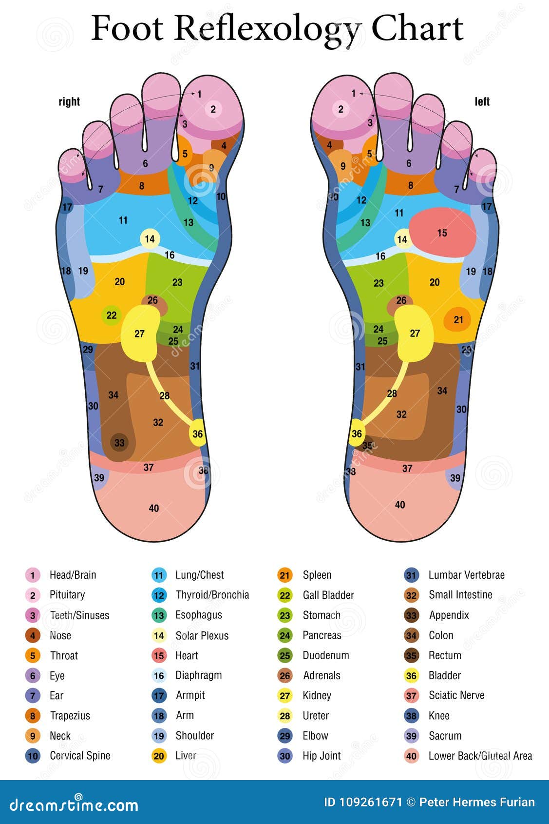foot reflexology table
