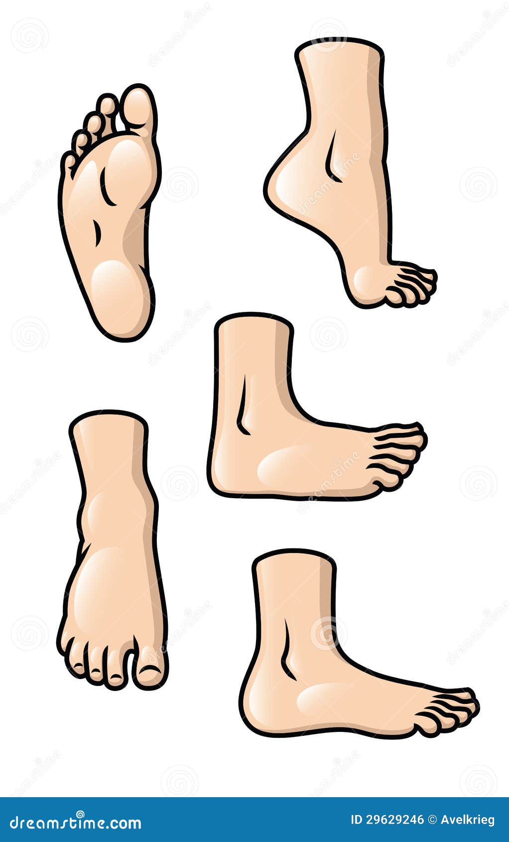 Cartoon Feet Picture Stock Illustrations – 12,325 Cartoon Feet Picture Stock Illustrations, Vectors & Clipart - Dreamstime Cartoon Feet Picture Stock Illustrations – 12,325 Cartoon Feet Picture Stock Illustrations, Vectors & Clipart - Dreamstime