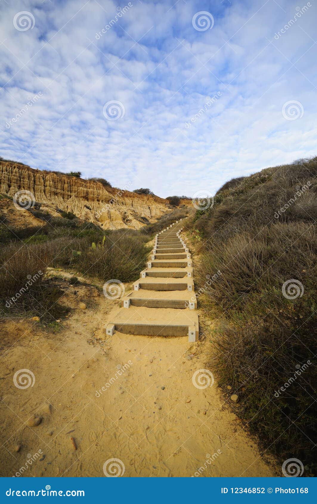 foot steps at torrey pine stat park