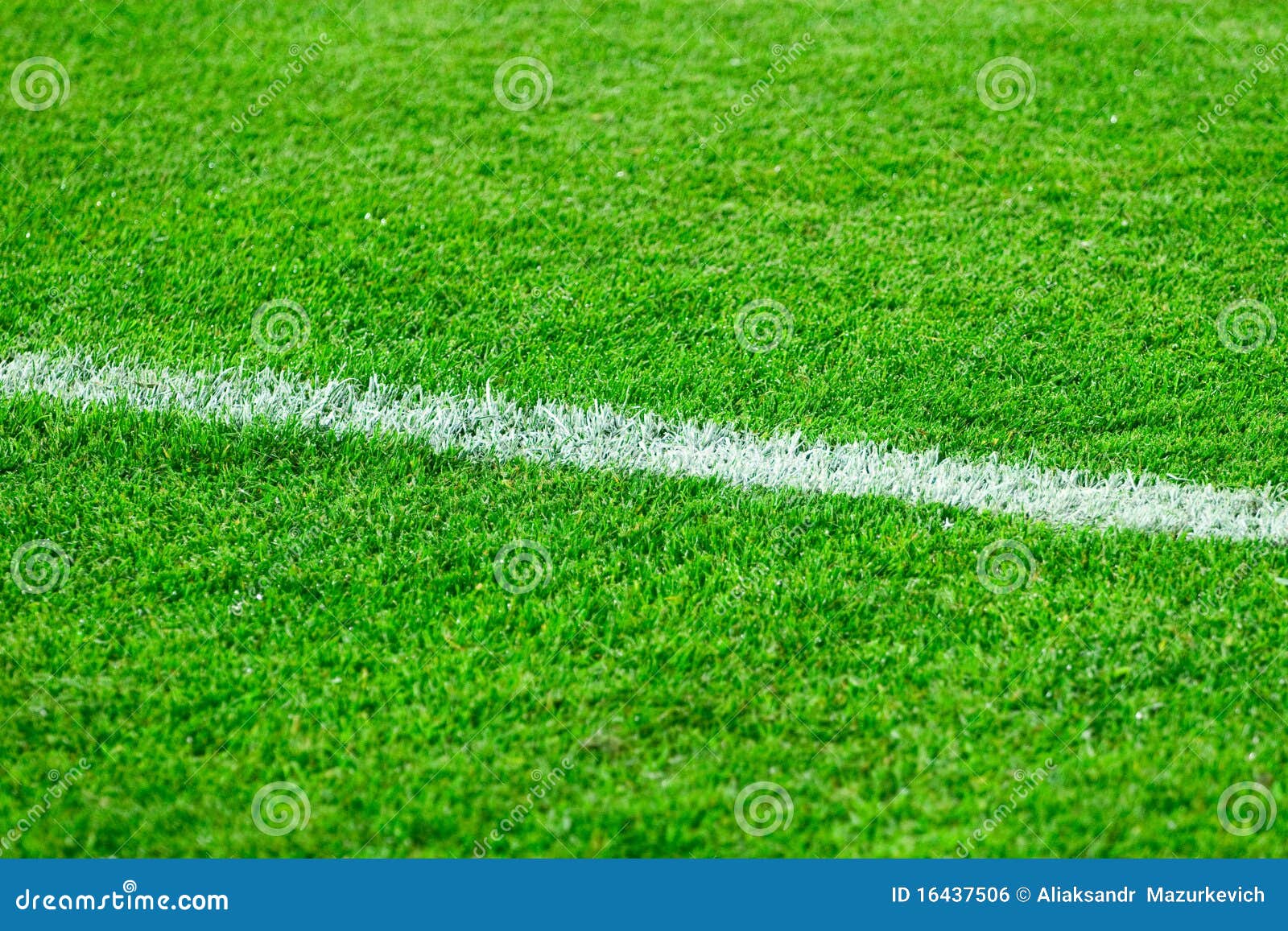 Football field grass stock photo. Image of meadow, lights 16437506
