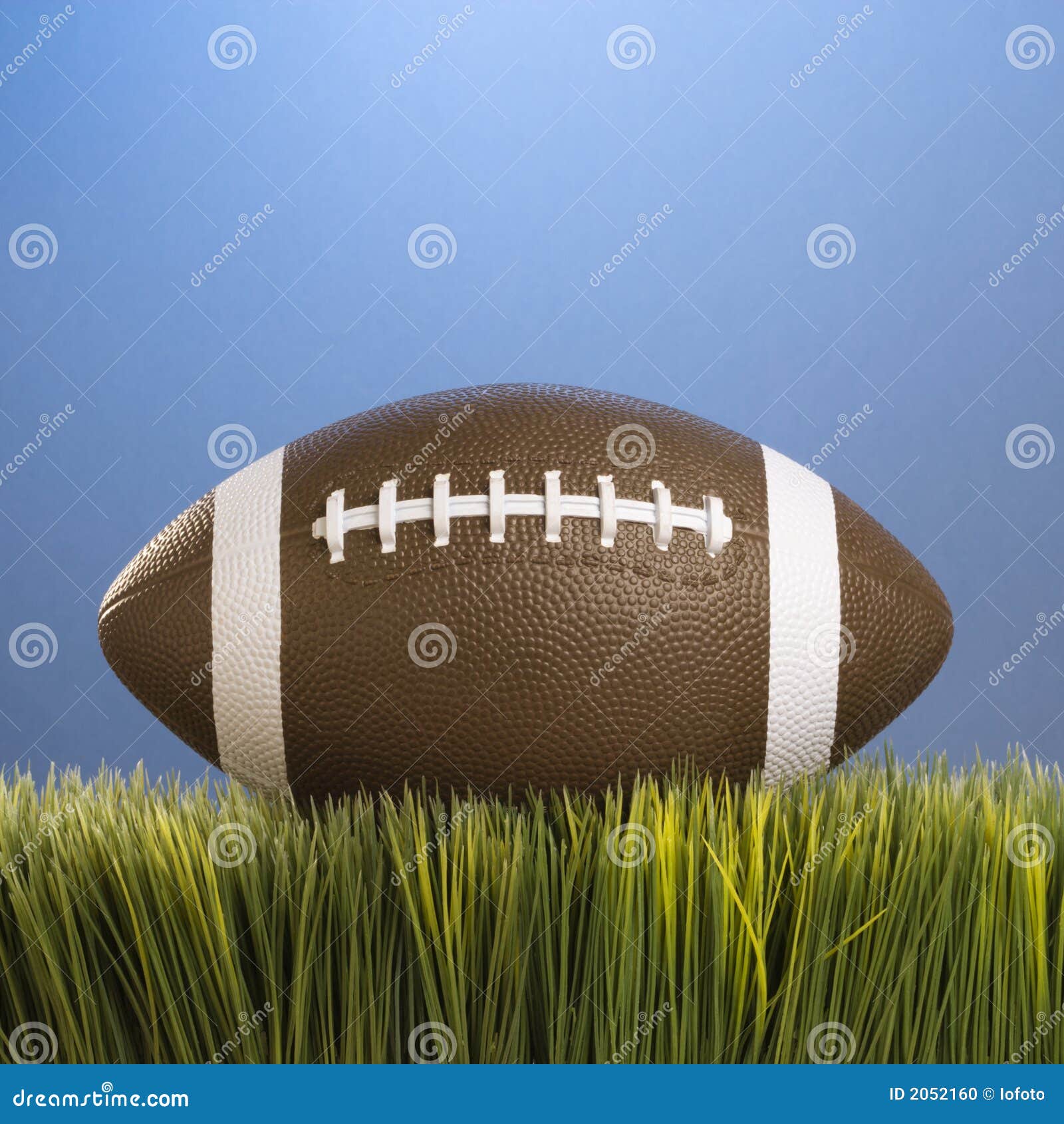 Football in grass. stock photo. Image of color, football - 2052160