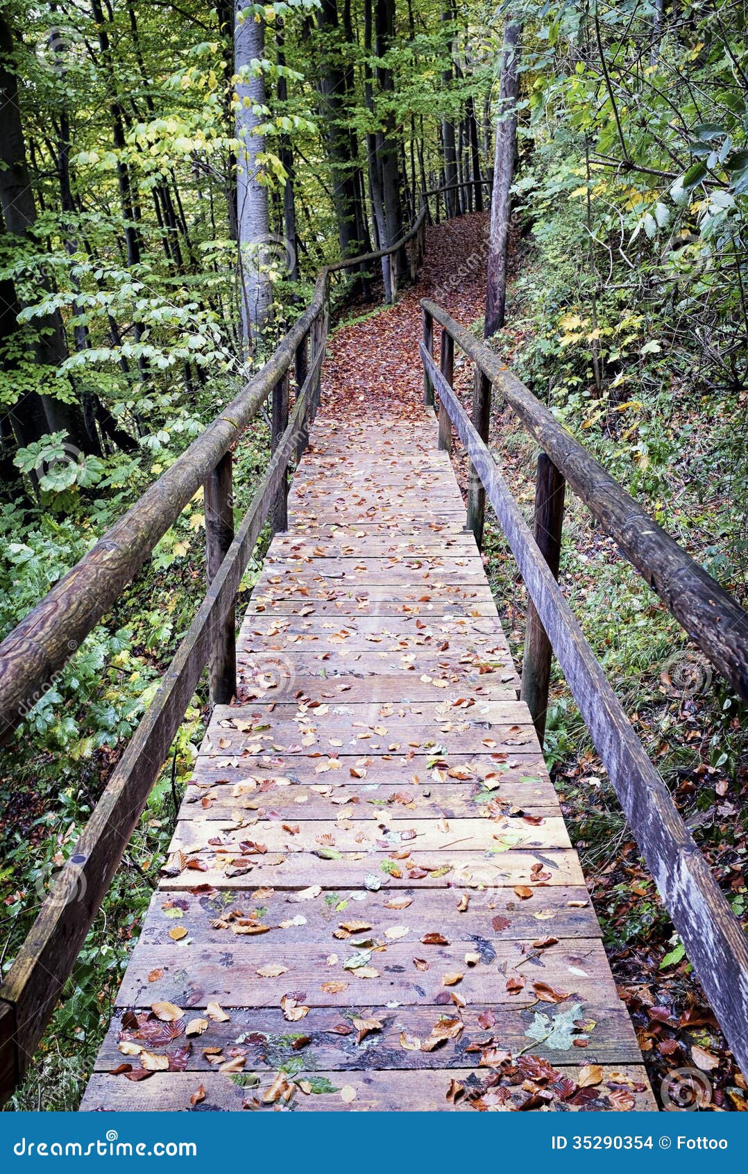 Деревянный footbridge на лесе