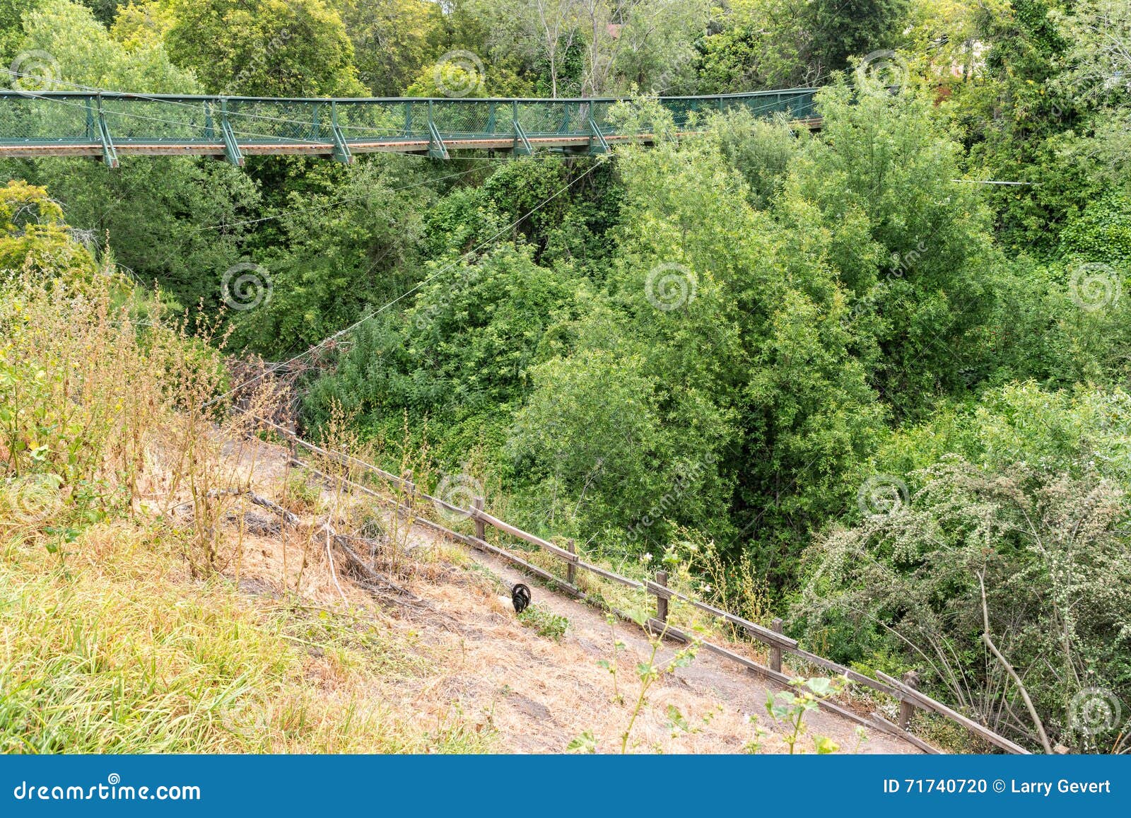 footbridge, arroyo grande