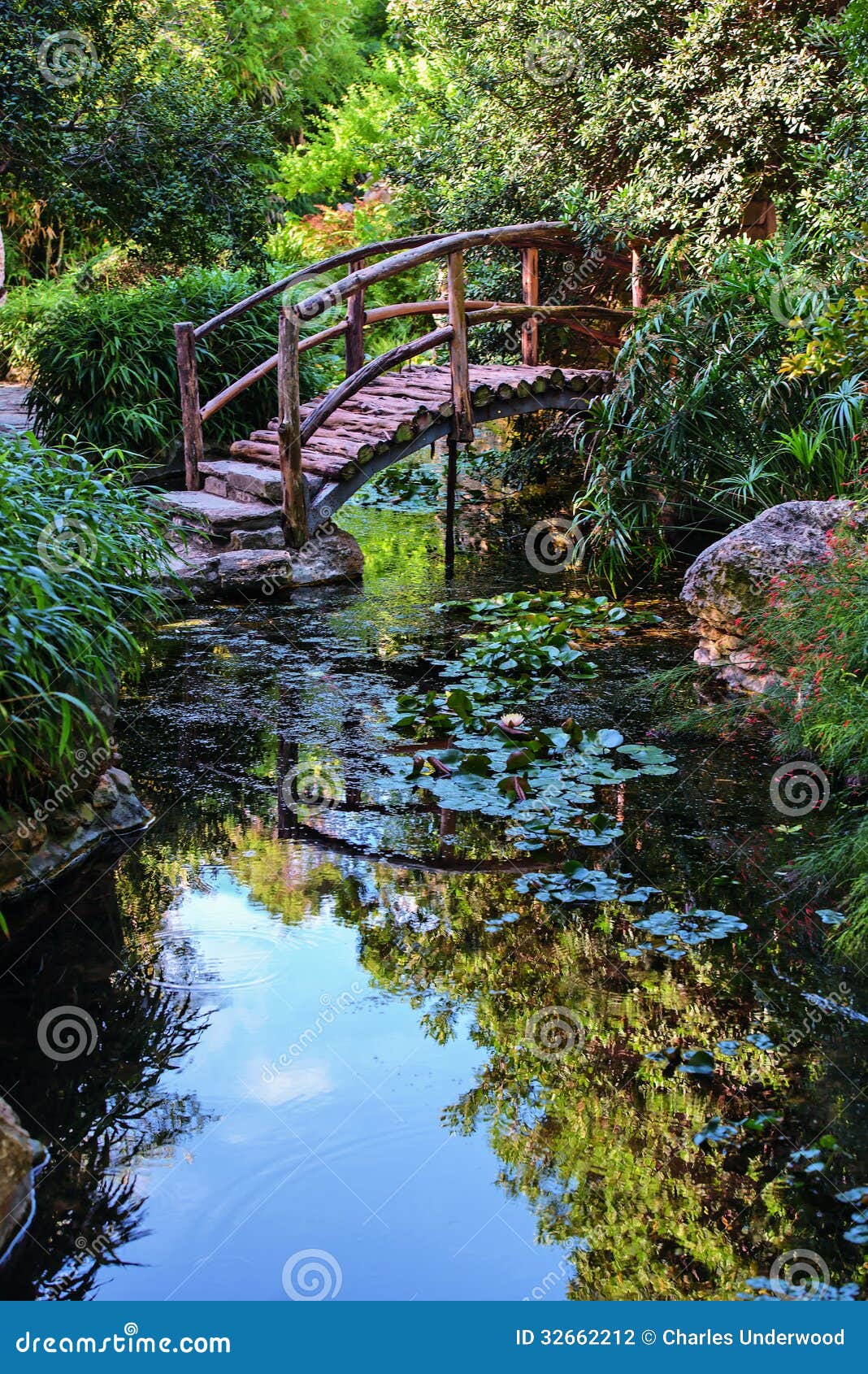 footbridge in the garden