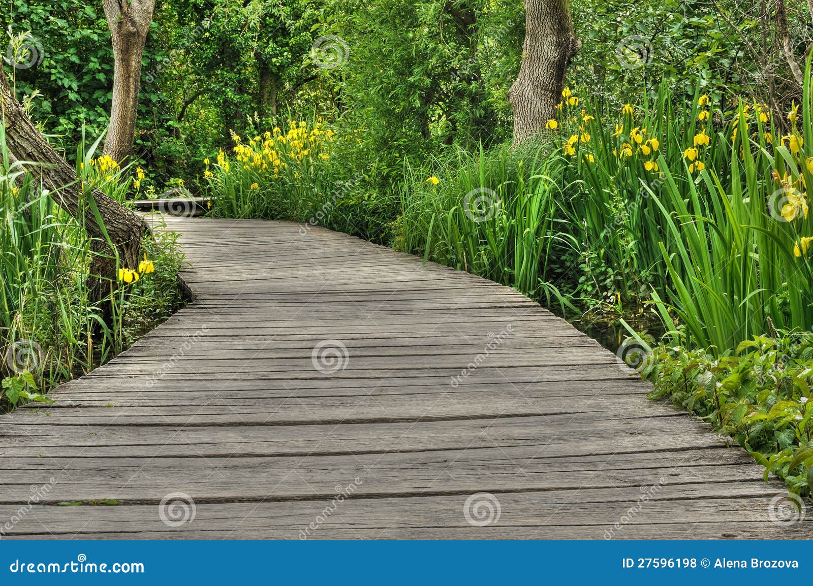 footbridge in krka national park, croatia,